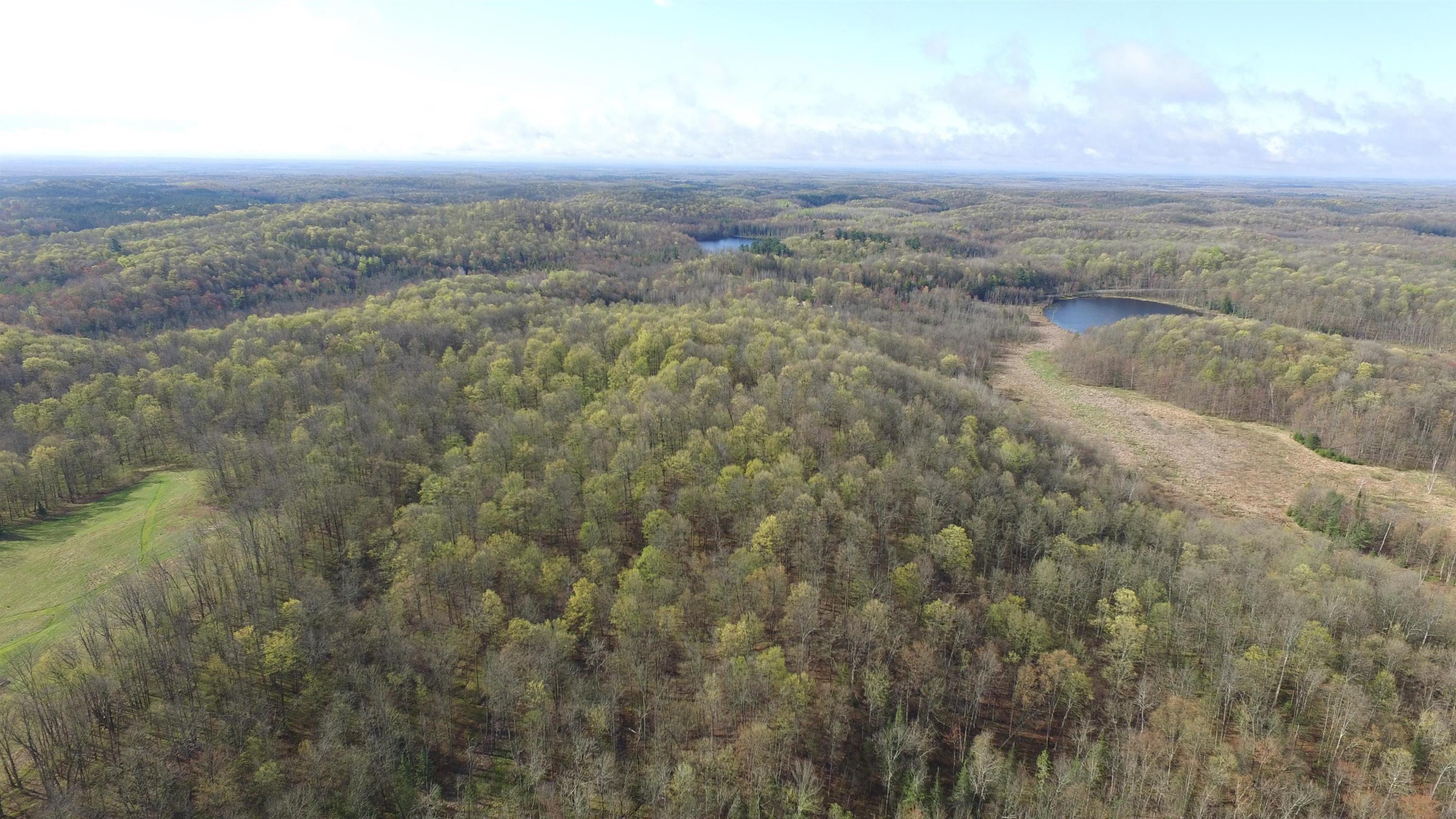 W10937 Red Wine Road, Medford, Wisconsin 54451, ,Land,For Sale,W10937 Red Wine Road,22602013
