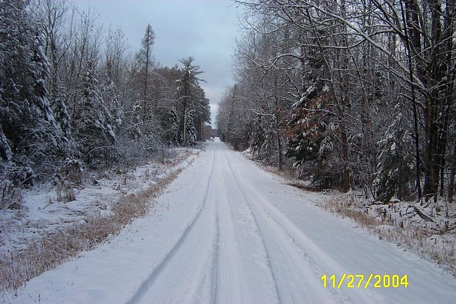 W10937 Red Wine Road, Medford, Wisconsin 54451, ,Land,For Sale,W10937 Red Wine Road,22602013