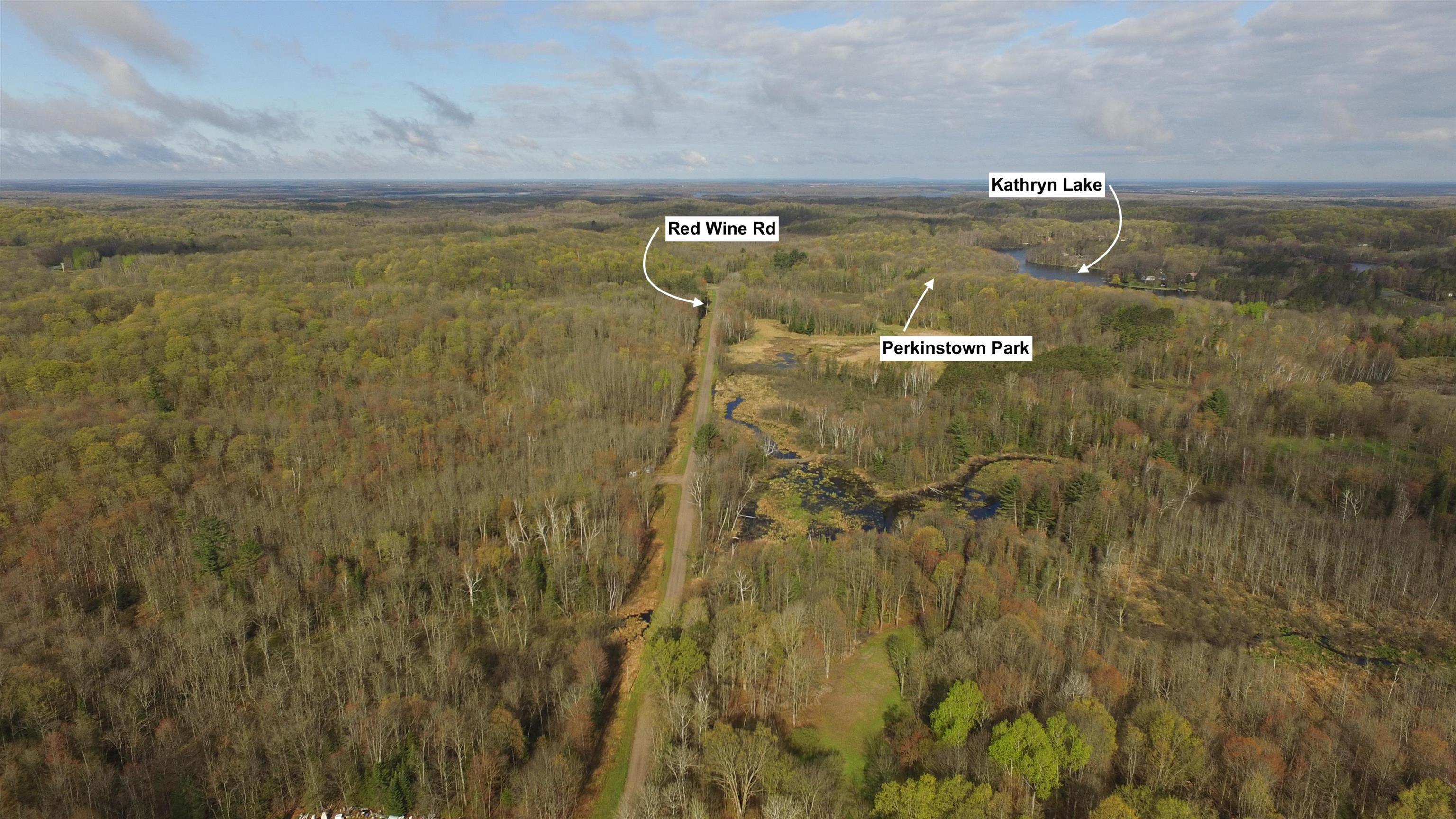 W10937 Red Wine Road, Medford, Wisconsin 54451, ,Land,For Sale,W10937 Red Wine Road,22602013