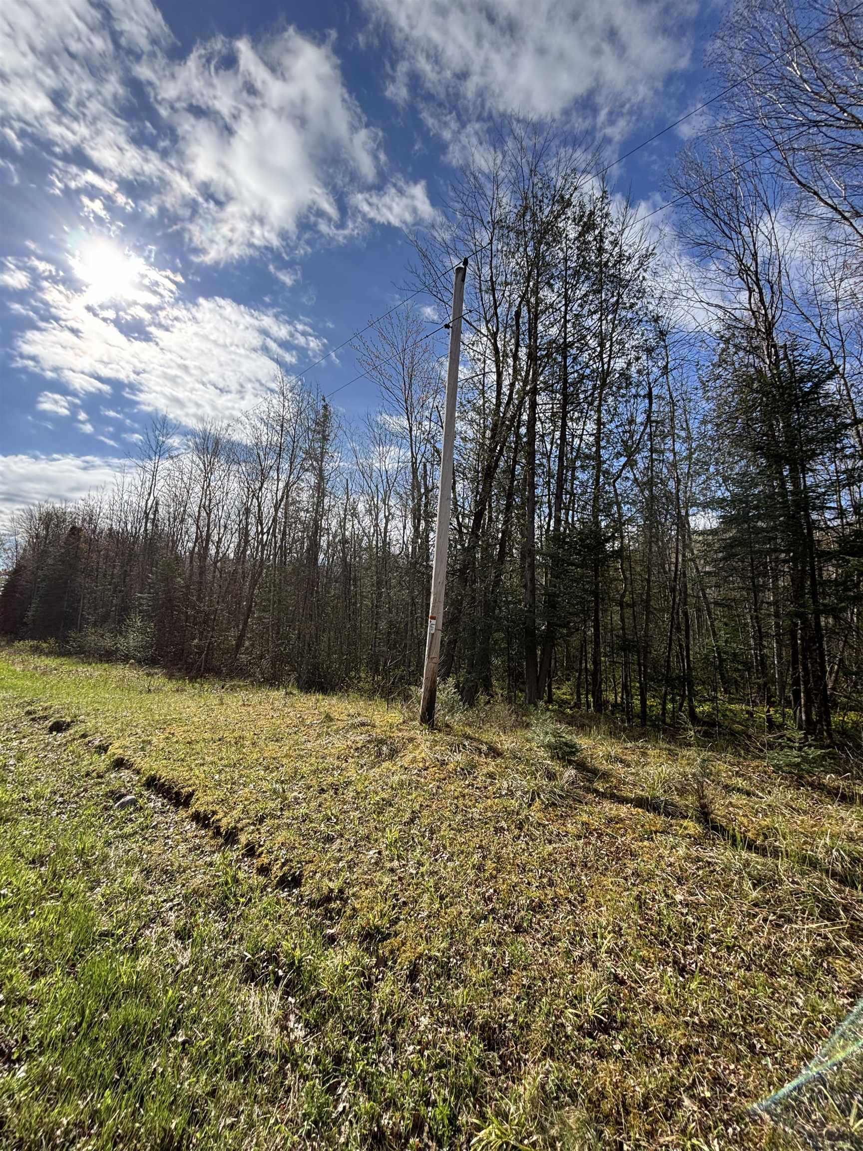 W10937 Red Wine Road, Medford, Wisconsin 54451, ,Land,For Sale,W10937 Red Wine Road,22602013
