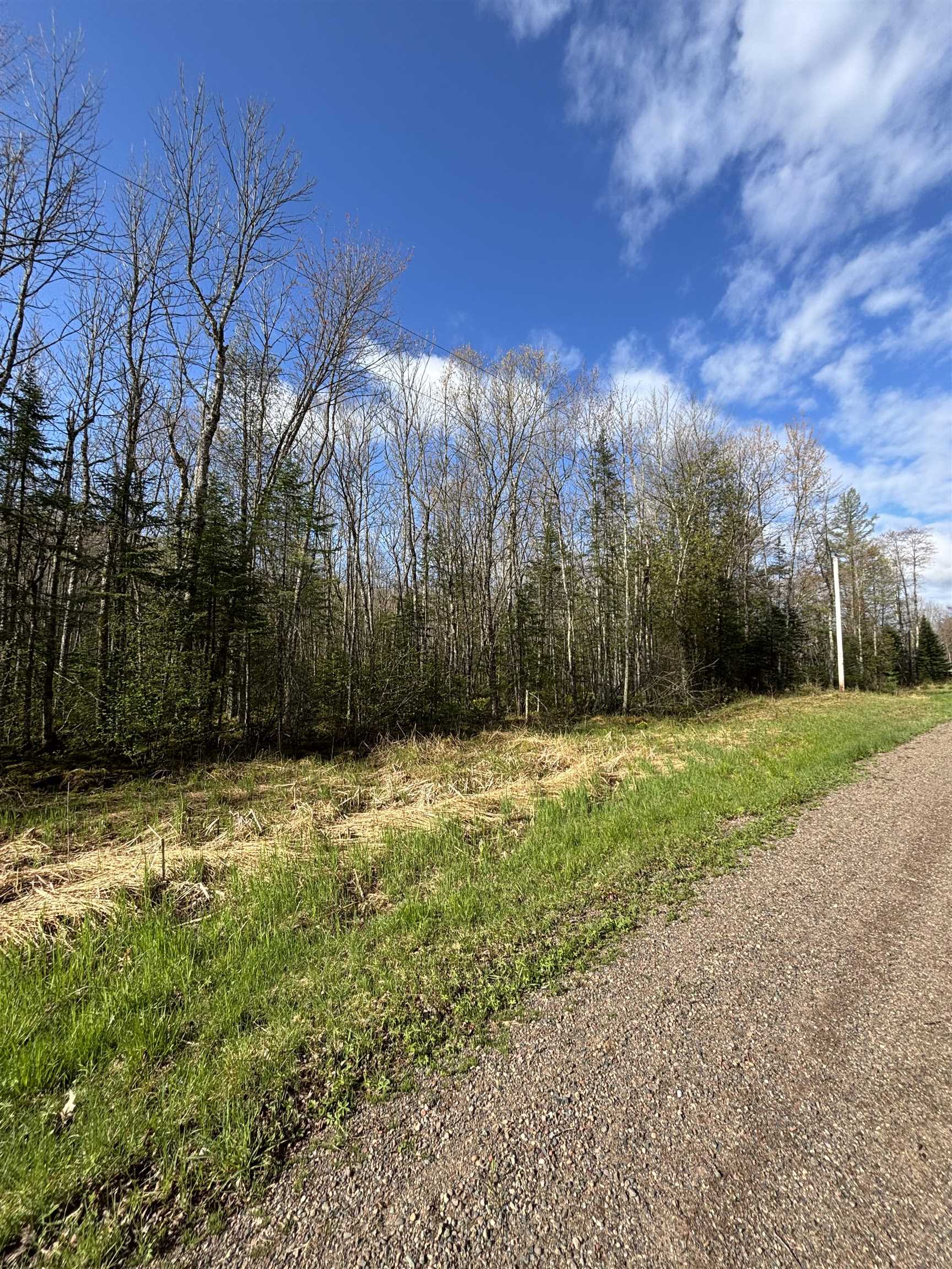 W10937 Red Wine Road, Medford, Wisconsin 54451, ,Land,For Sale,W10937 Red Wine Road,22602013