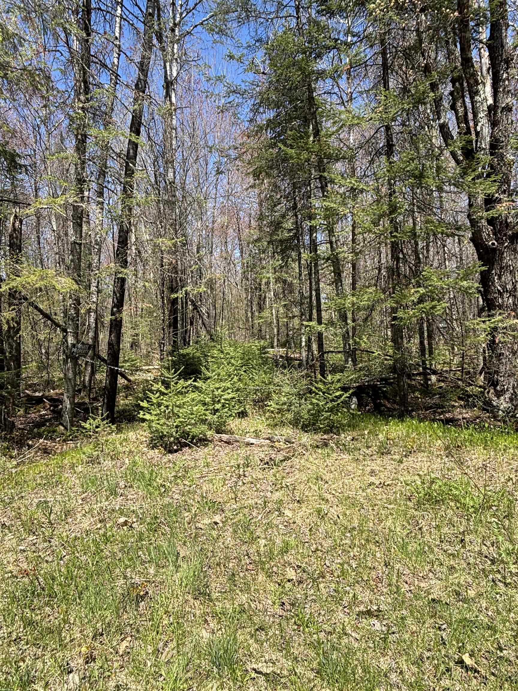 VASCHEAU ROAD, Merrill, Wisconsin 54452, ,Land,For Sale,VASCHEAU ROAD,22602030