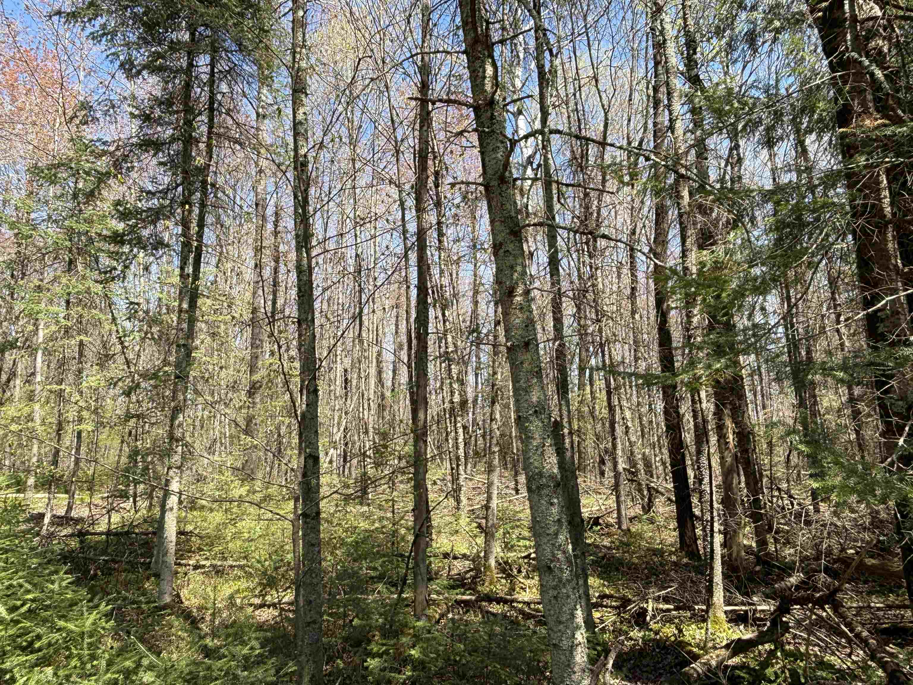 VASCHEAU ROAD, Merrill, Wisconsin 54452, ,Land,For Sale,VASCHEAU ROAD,22602030