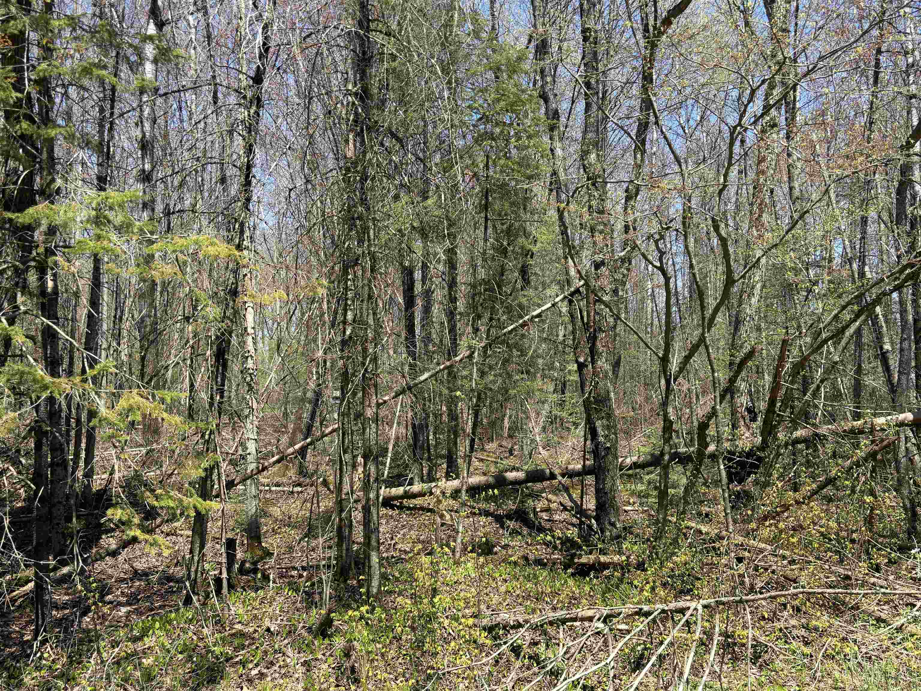 VASCHEAU ROAD, Merrill, Wisconsin 54452, ,Land,For Sale,VASCHEAU ROAD,22602030