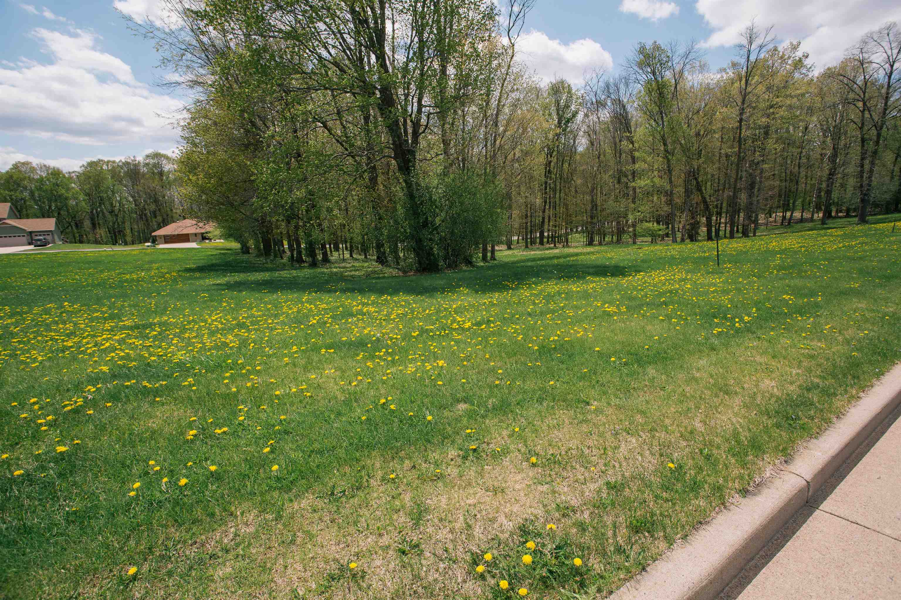 Lot 11 LUCILLE LANE, Neillsville, Wisconsin 54456, ,Land,For Sale,Lot 11 LUCILLE LANE,22602040