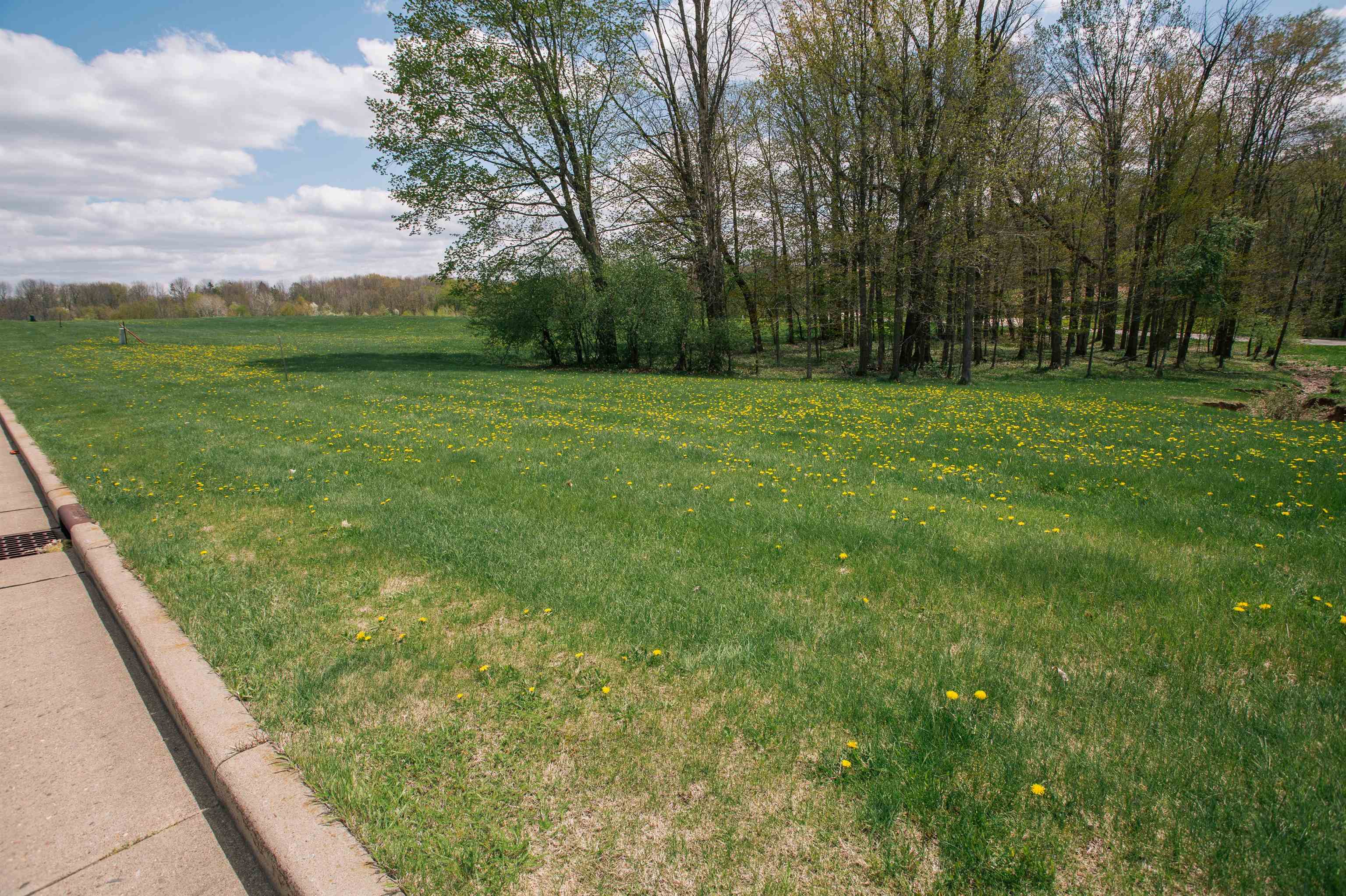 Lot 11 LUCILLE LANE, Neillsville, Wisconsin 54456, ,Land,For Sale,Lot 11 LUCILLE LANE,22602040