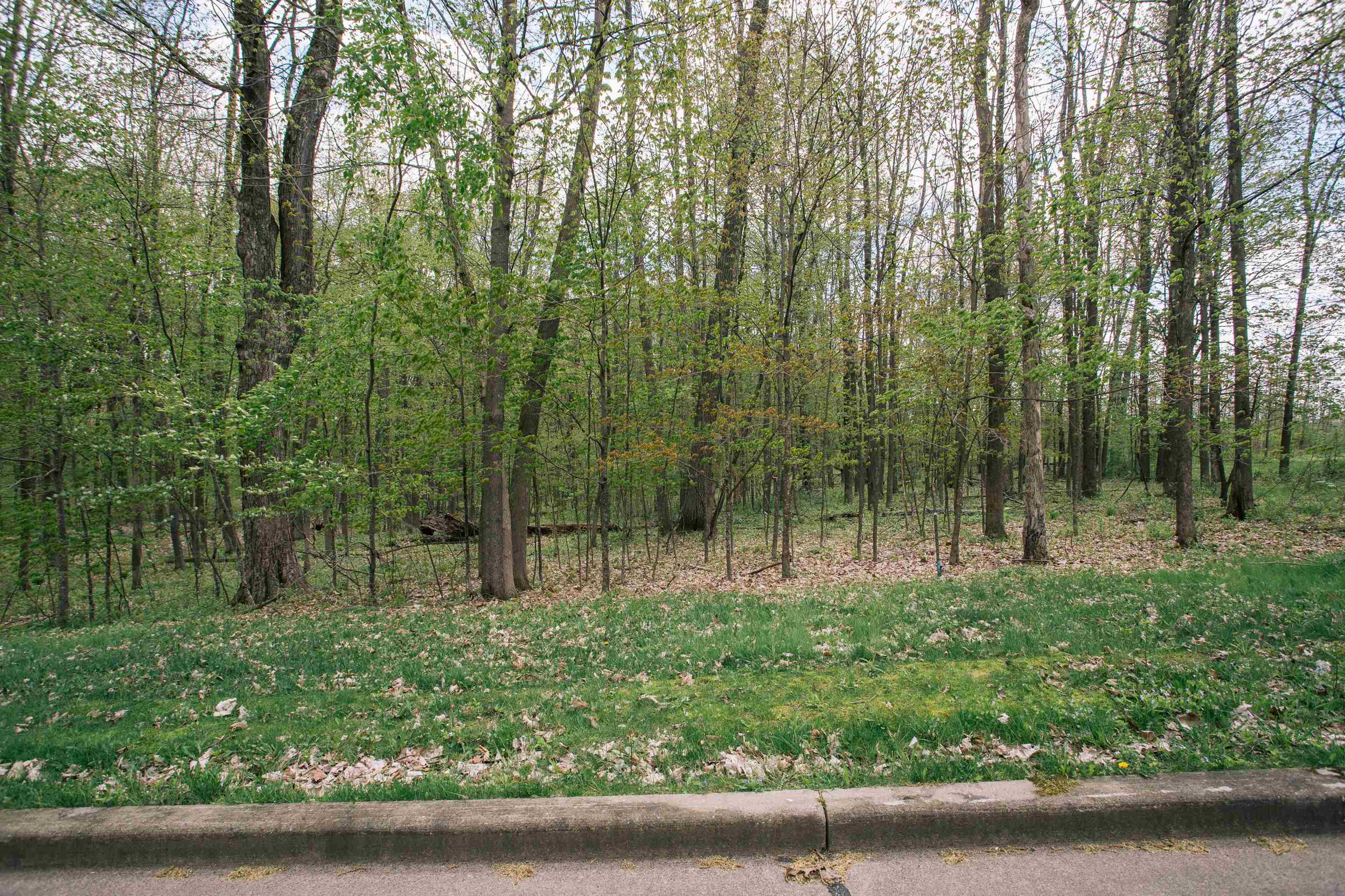 Lot 28 SAND LANE, Neillsville, Wisconsin 54456, ,Land,For Sale,Lot 28 SAND LANE,22602055