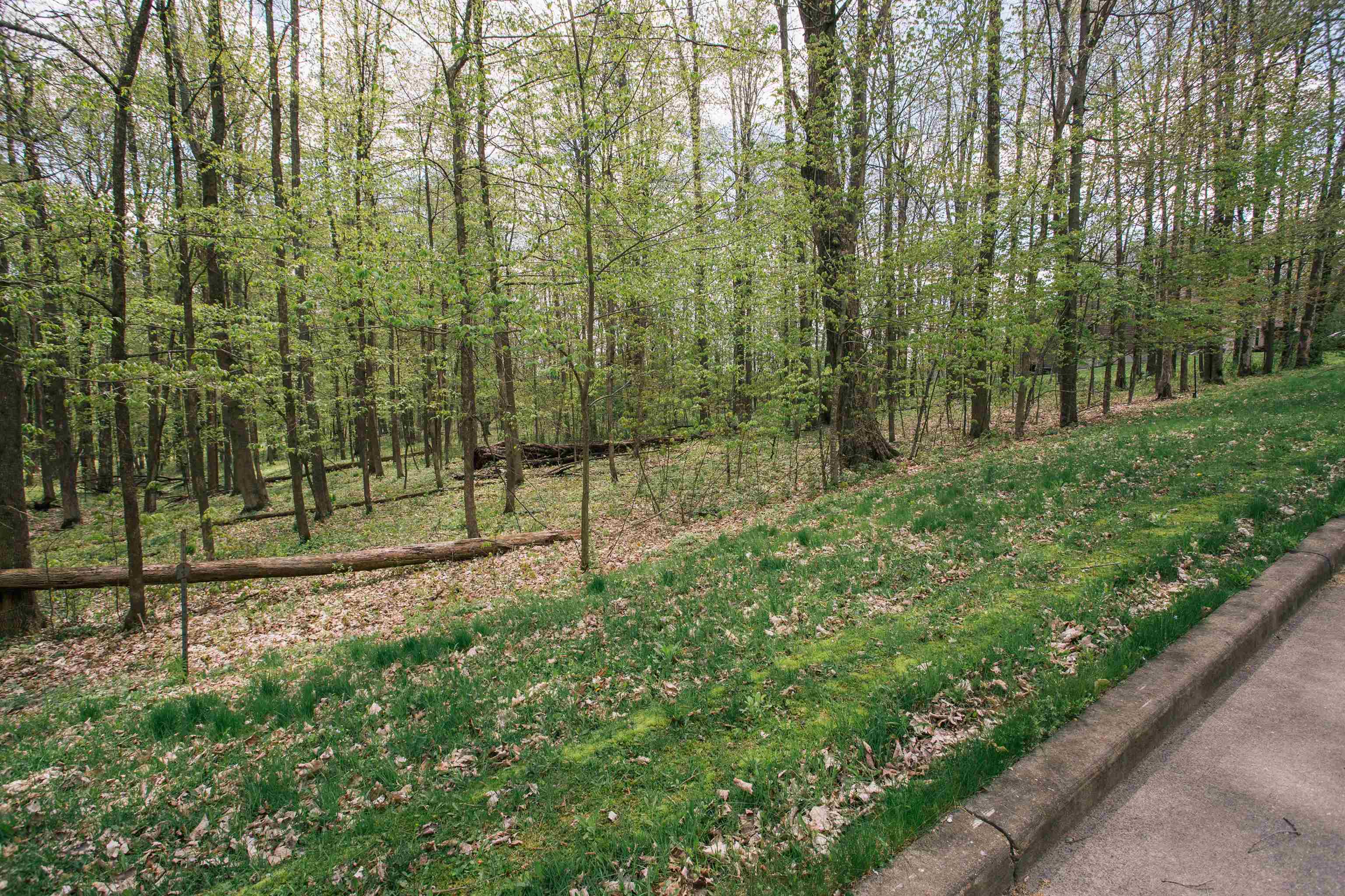 Lot 28 SAND LANE, Neillsville, Wisconsin 54456, ,Land,For Sale,Lot 28 SAND LANE,22602055