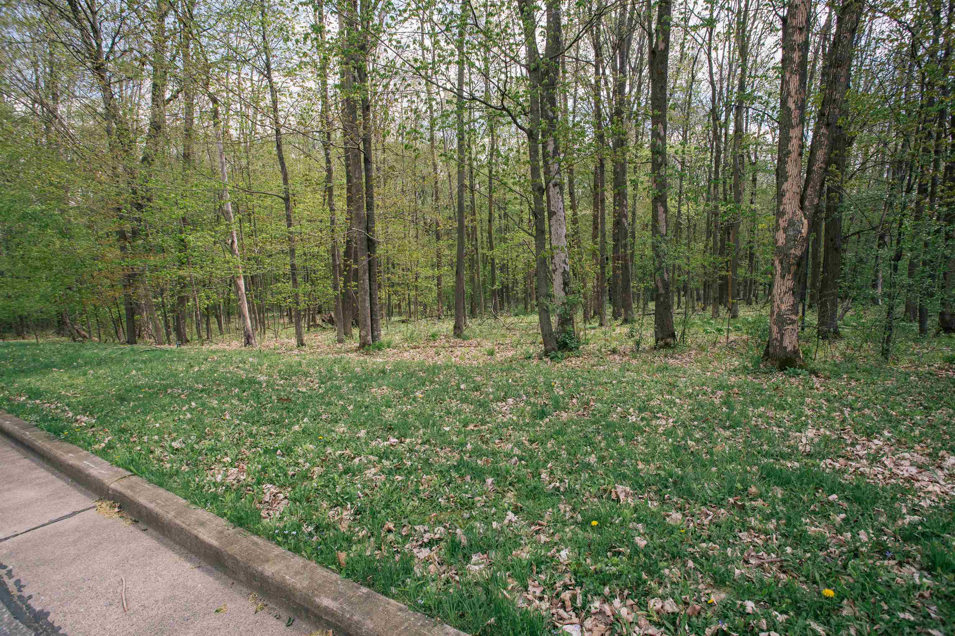 Lot 28 SAND LANE, Neillsville, Wisconsin 54456, ,Land,For Sale,Lot 28 SAND LANE,22602055