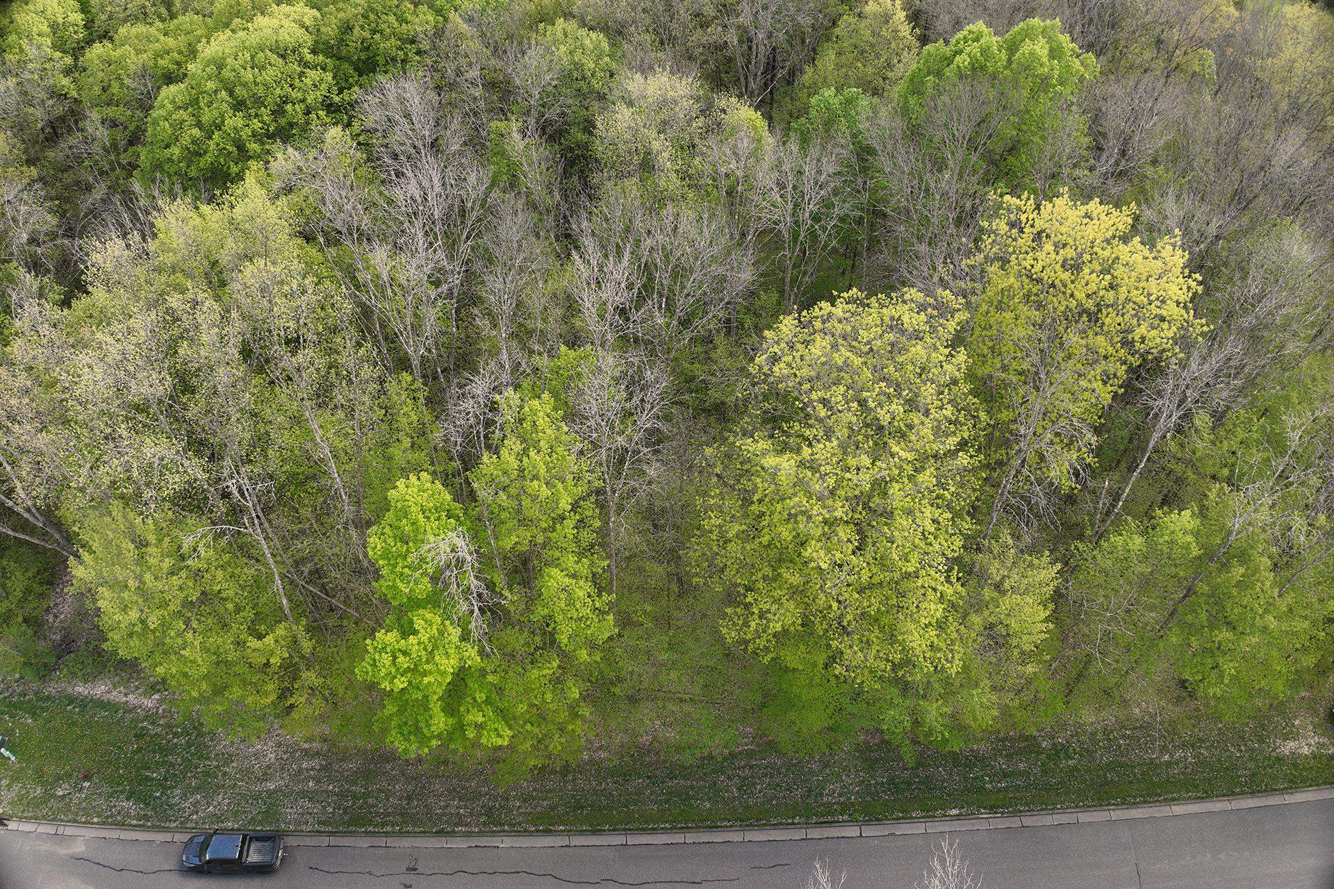 Lot 28 SAND LANE, Neillsville, Wisconsin 54456, ,Land,For Sale,Lot 28 SAND LANE,22602055