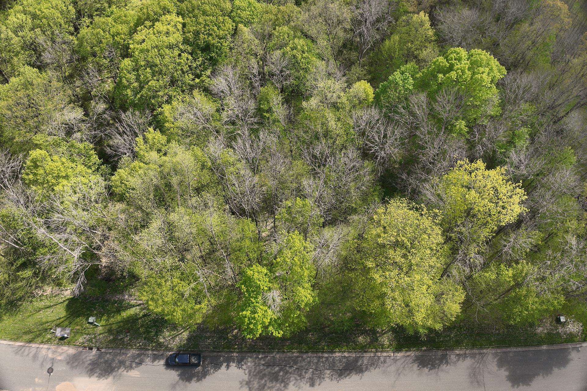 Lot 28 SAND LANE, Neillsville, Wisconsin 54456, ,Land,For Sale,Lot 28 SAND LANE,22602055