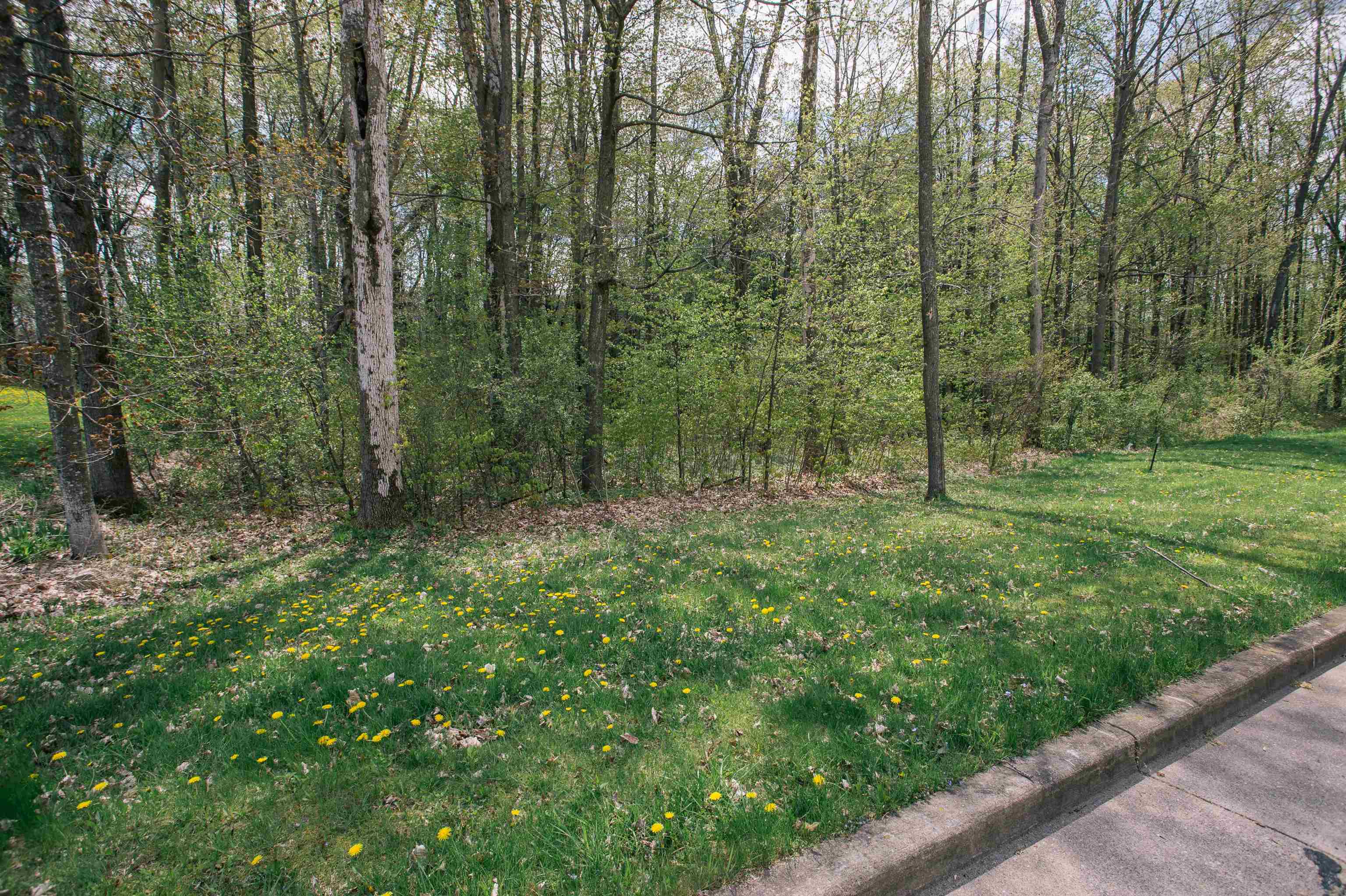 Lot 26 SAND LANE, Neillsville, Wisconsin 54456, ,Land,For Sale,Lot 26 SAND LANE,22602056
