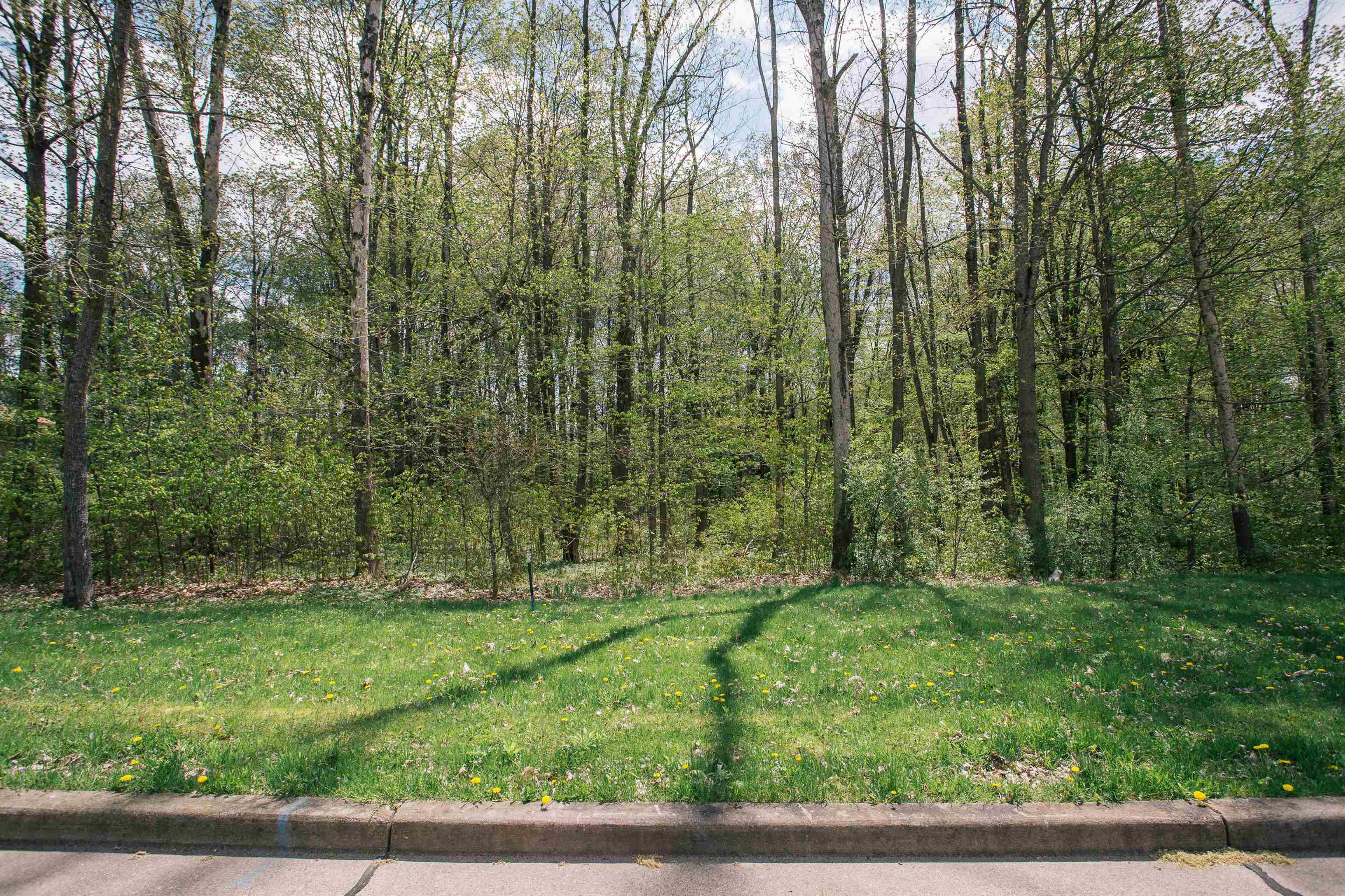 Lot 26 SAND LANE, Neillsville, Wisconsin 54456, ,Land,For Sale,Lot 26 SAND LANE,22602056
