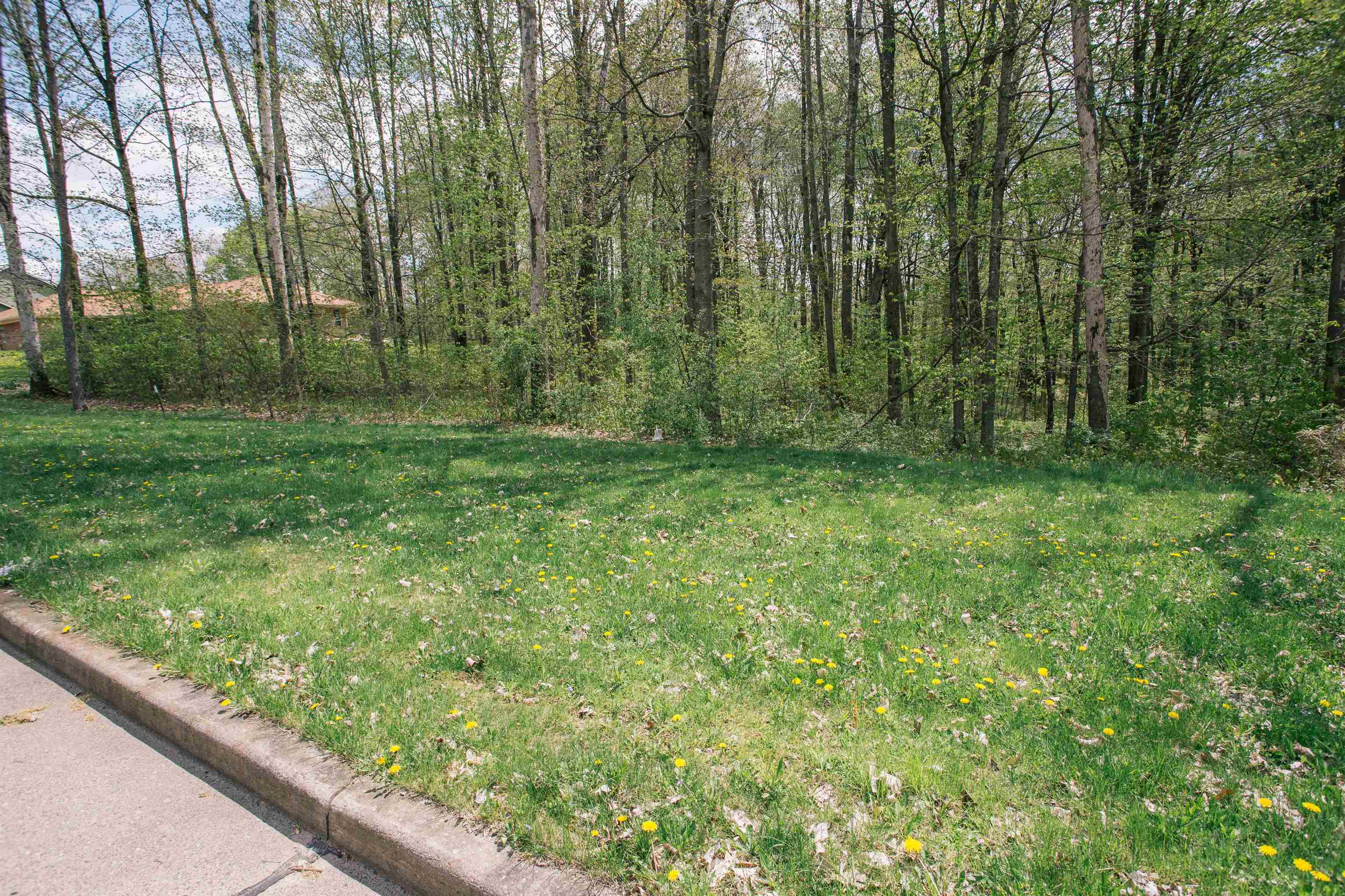 Lot 26 SAND LANE, Neillsville, Wisconsin 54456, ,Land,For Sale,Lot 26 SAND LANE,22602056