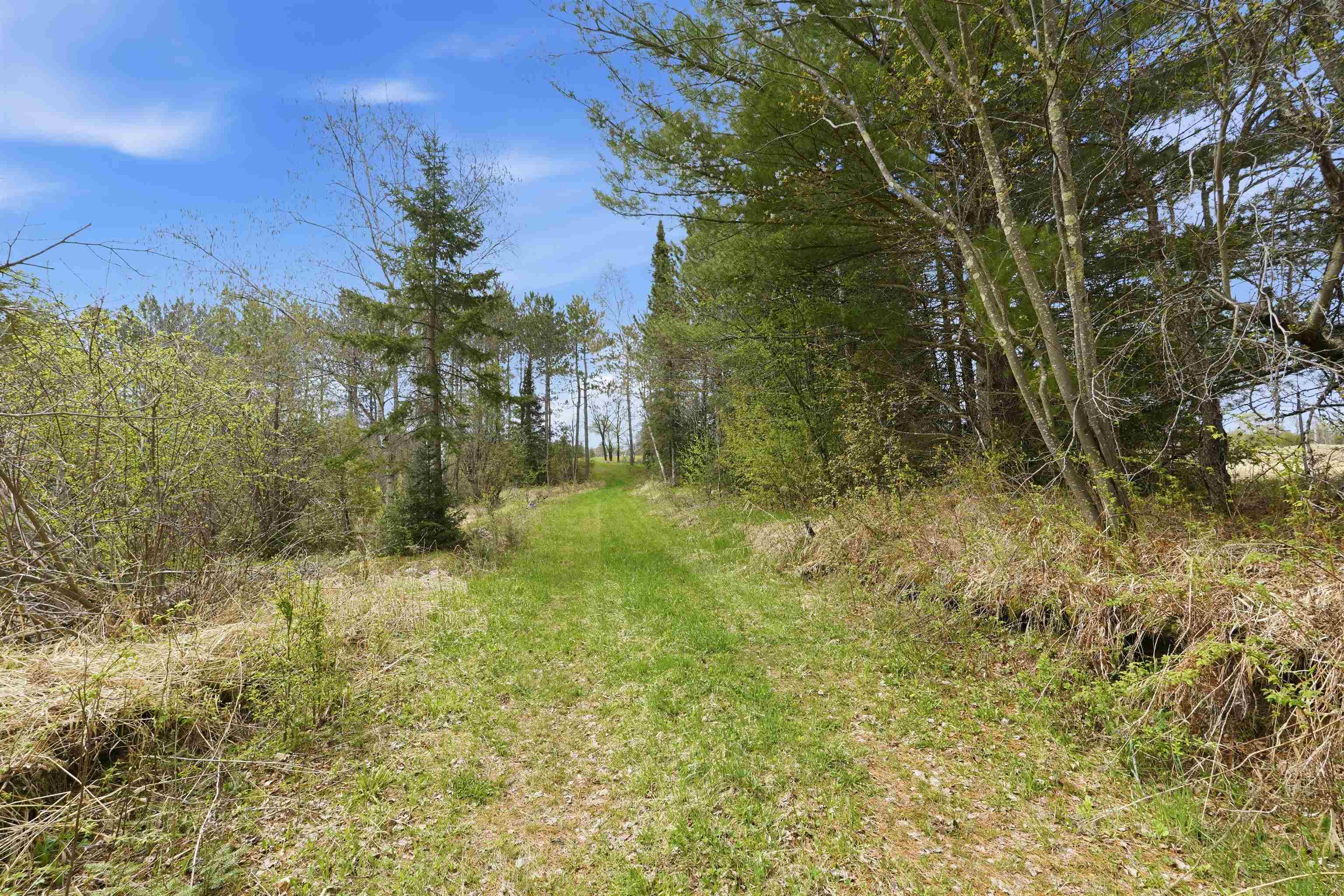 W2477 Bonde Avenue, Rib Lake, Wisconsin 54470, 1 Bedroom Bedrooms, ,1 BathroomBathrooms,Residential,For Sale,W2477 Bonde Avenue,22602059