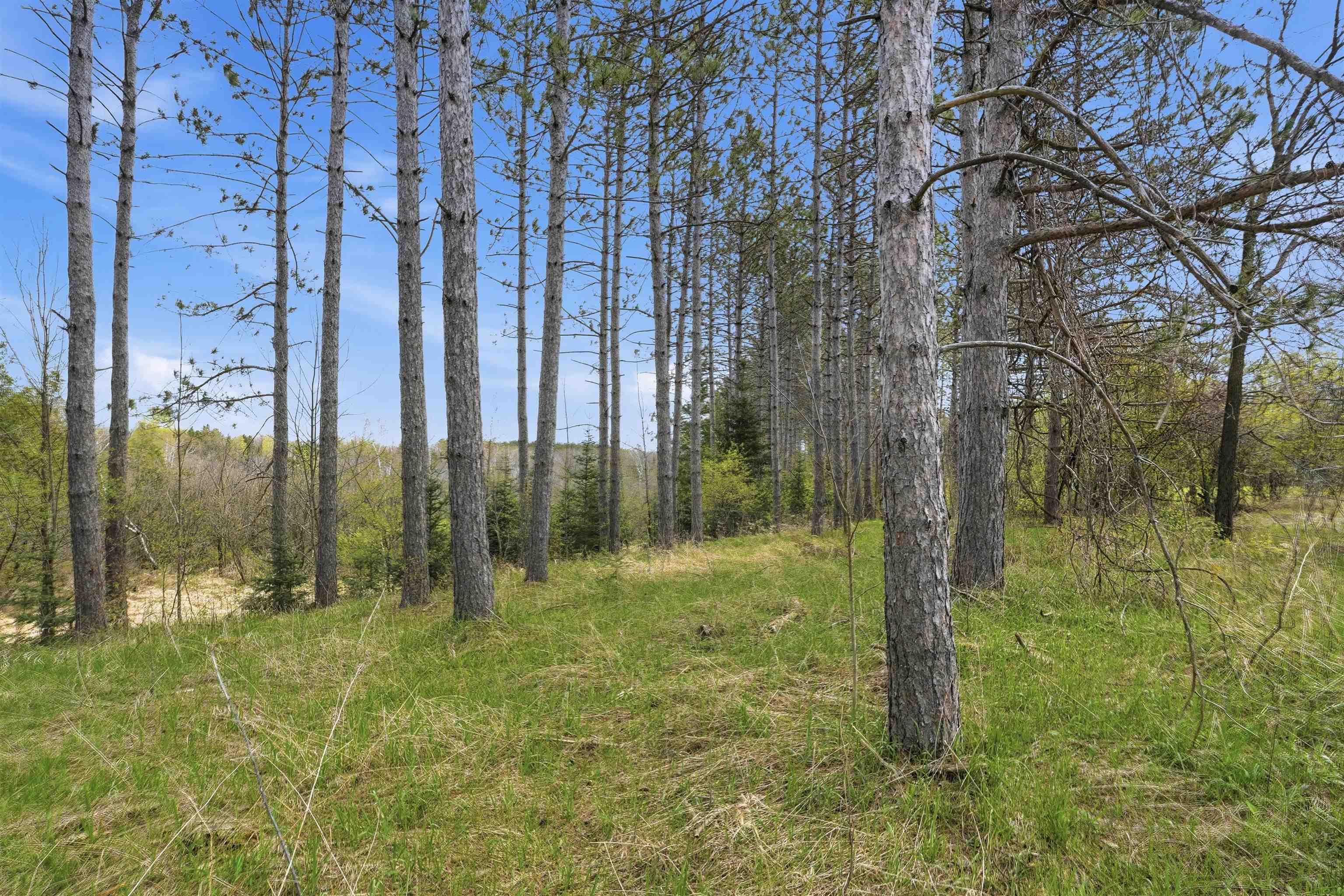 W2477 Bonde Avenue, Rib Lake, Wisconsin 54470, 1 Bedroom Bedrooms, ,1 BathroomBathrooms,Residential,For Sale,W2477 Bonde Avenue,22602059