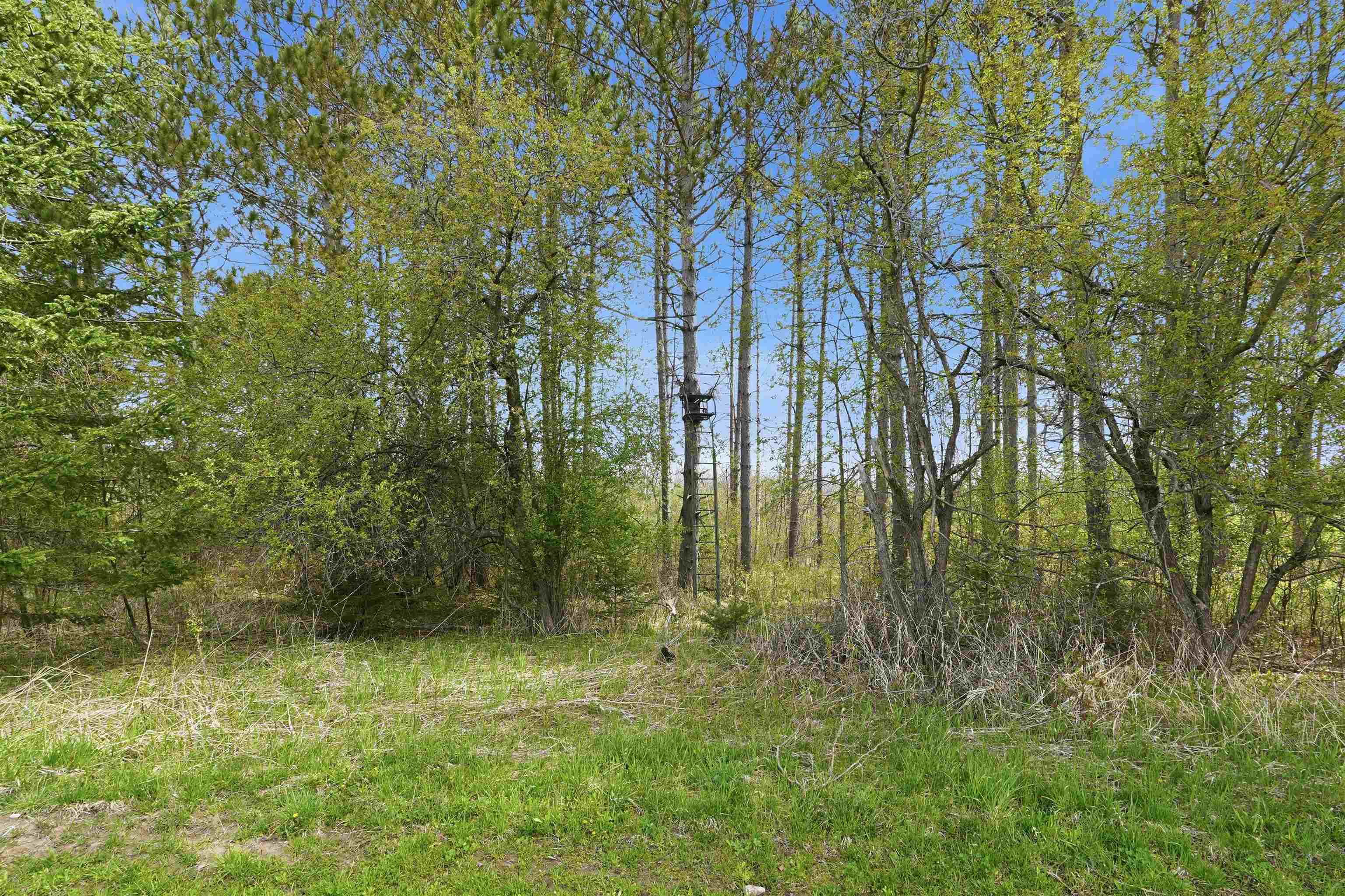 W2477 Bonde Avenue, Rib Lake, Wisconsin 54470, 1 Bedroom Bedrooms, ,1 BathroomBathrooms,Residential,For Sale,W2477 Bonde Avenue,22602059
