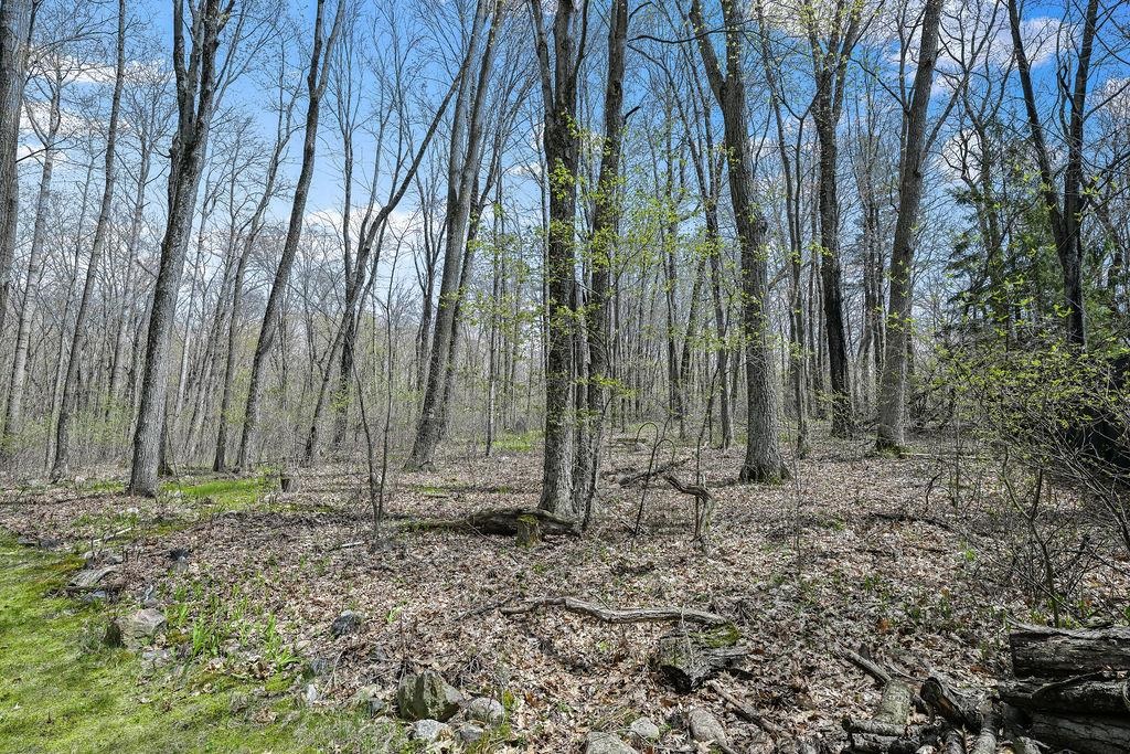 N7898 COUNTY ROAD G, Iola, Wisconsin 54945, 2 Bedrooms Bedrooms, ,2 BathroomsBathrooms,Residential,For Sale,N7898 COUNTY ROAD G,22602091