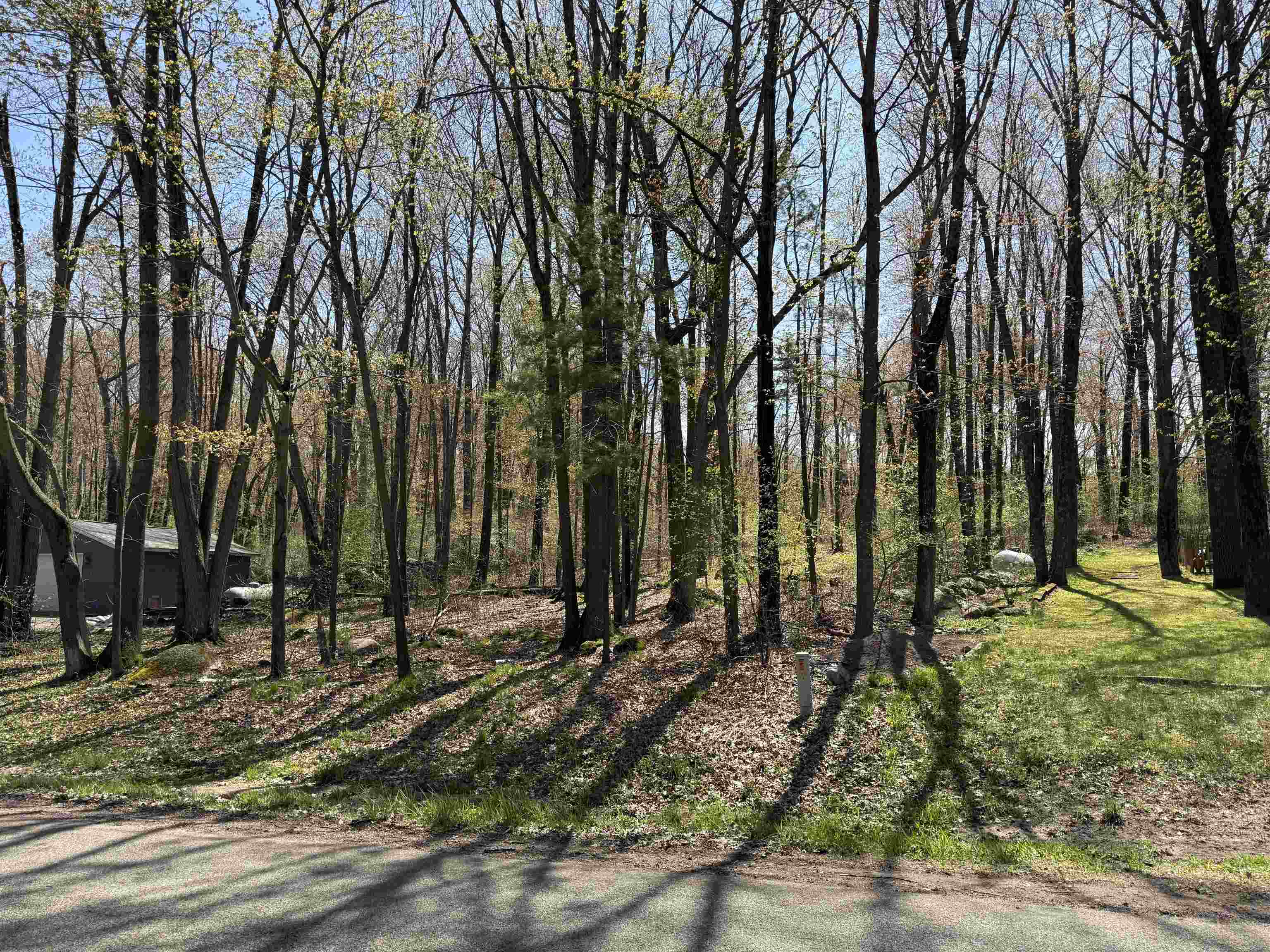 Lot 1 COUNTY ROAD G, Iola, Wisconsin 54945, ,Land,For Sale,Lot 1 COUNTY ROAD G,22602092