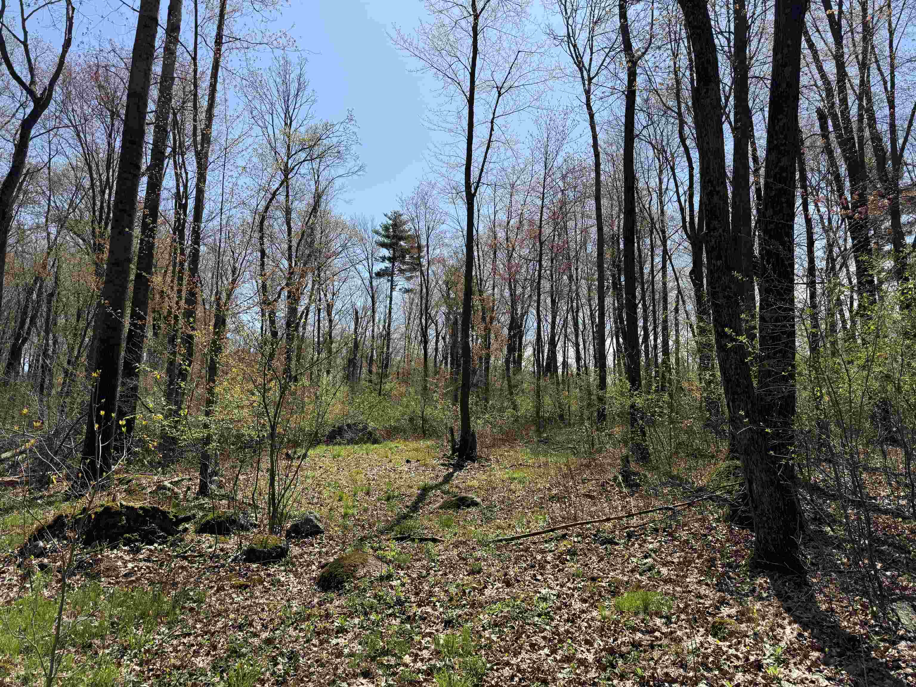 Lot 1 COUNTY ROAD G, Iola, Wisconsin 54945, ,Land,For Sale,Lot 1 COUNTY ROAD G,22602092