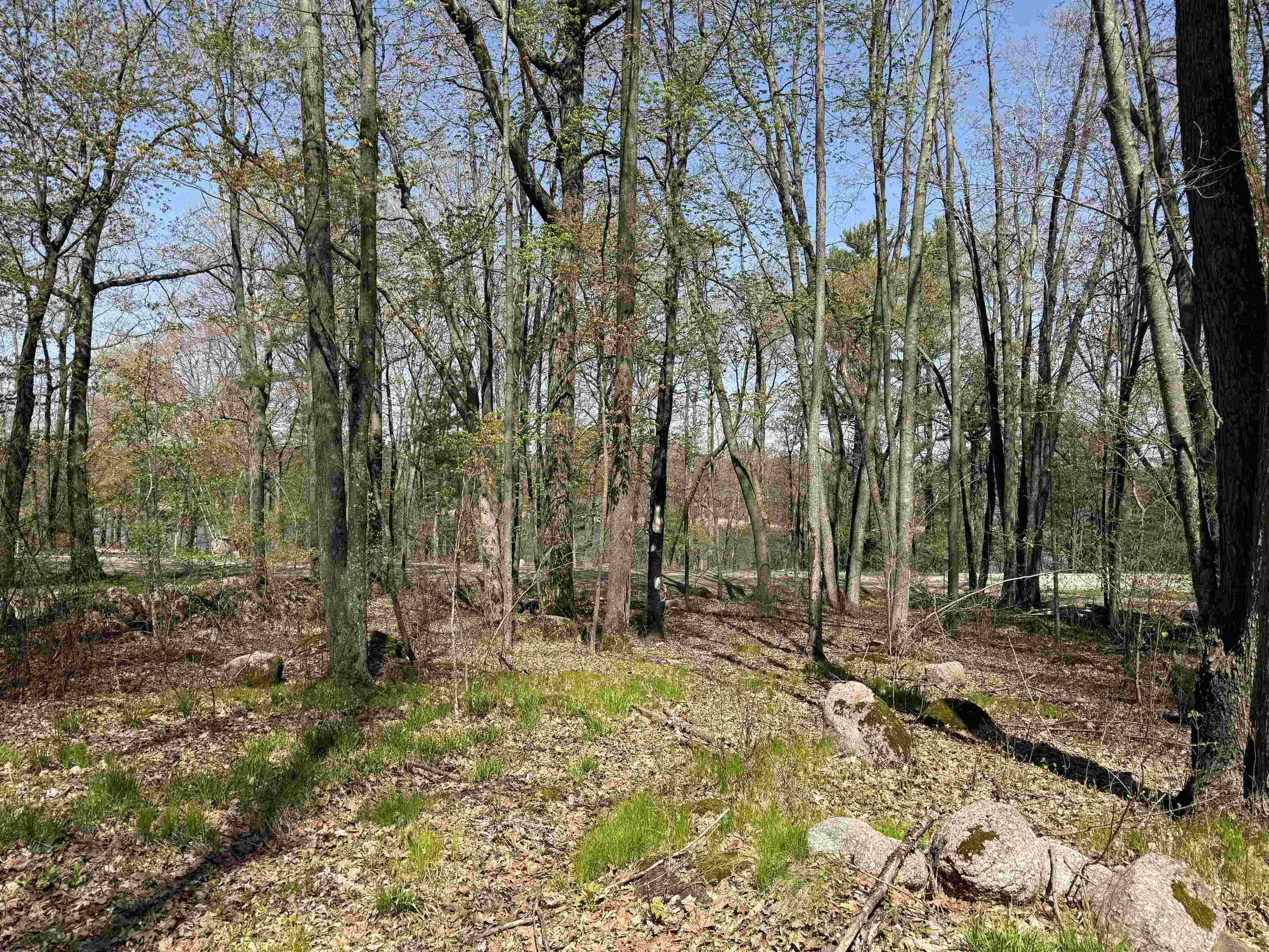 Lot 1 COUNTY ROAD G, Iola, Wisconsin 54945, ,Land,For Sale,Lot 1 COUNTY ROAD G,22602092