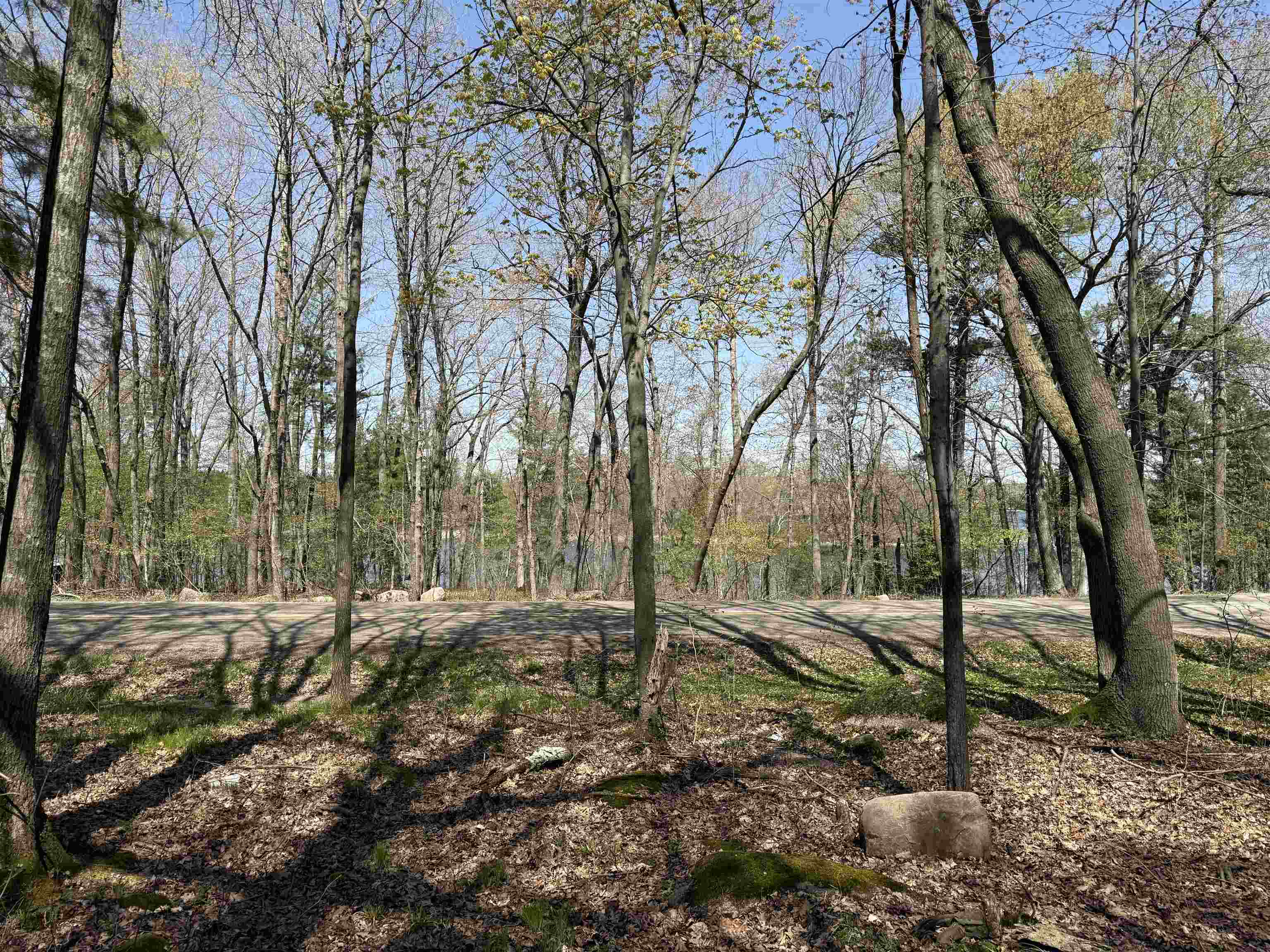 Lot 1 COUNTY ROAD G, Iola, Wisconsin 54945, ,Land,For Sale,Lot 1 COUNTY ROAD G,22602092