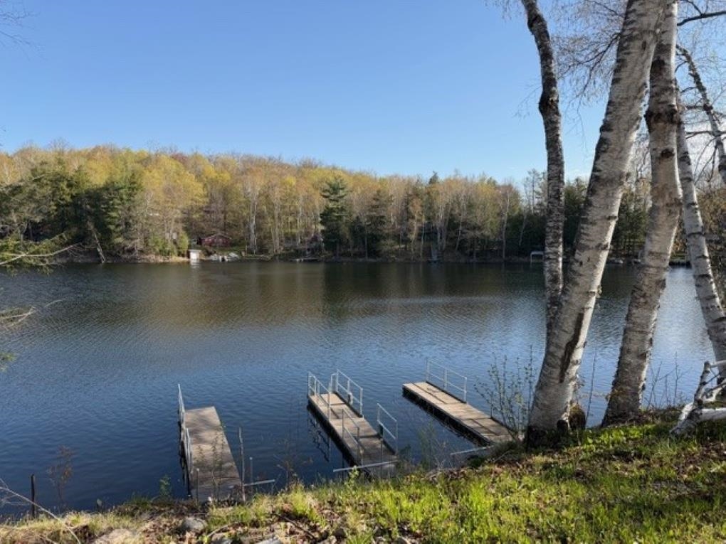N8483 LOWER LONG LAKE DRIVE, Gleason, Wisconsin 54435, ,Land,For Sale,N8483 LOWER LONG LAKE DRIVE,22602133