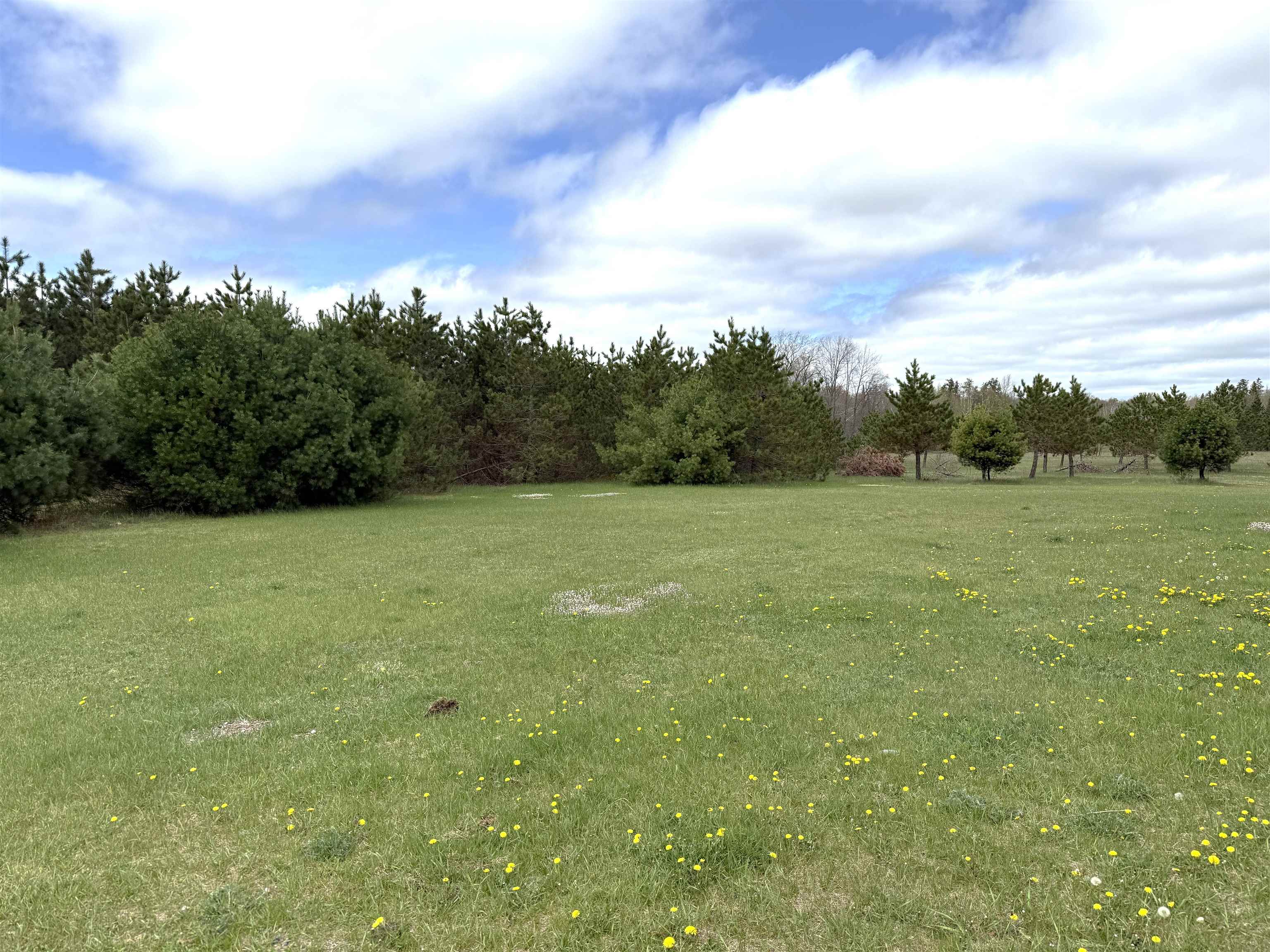 N19088 SANDY LOOP ROAD, Goodman, Wisconsin 54125, 2 Bedrooms Bedrooms, ,2 BathroomsBathrooms,Residential,For Sale,N19088 SANDY LOOP ROAD,22602146