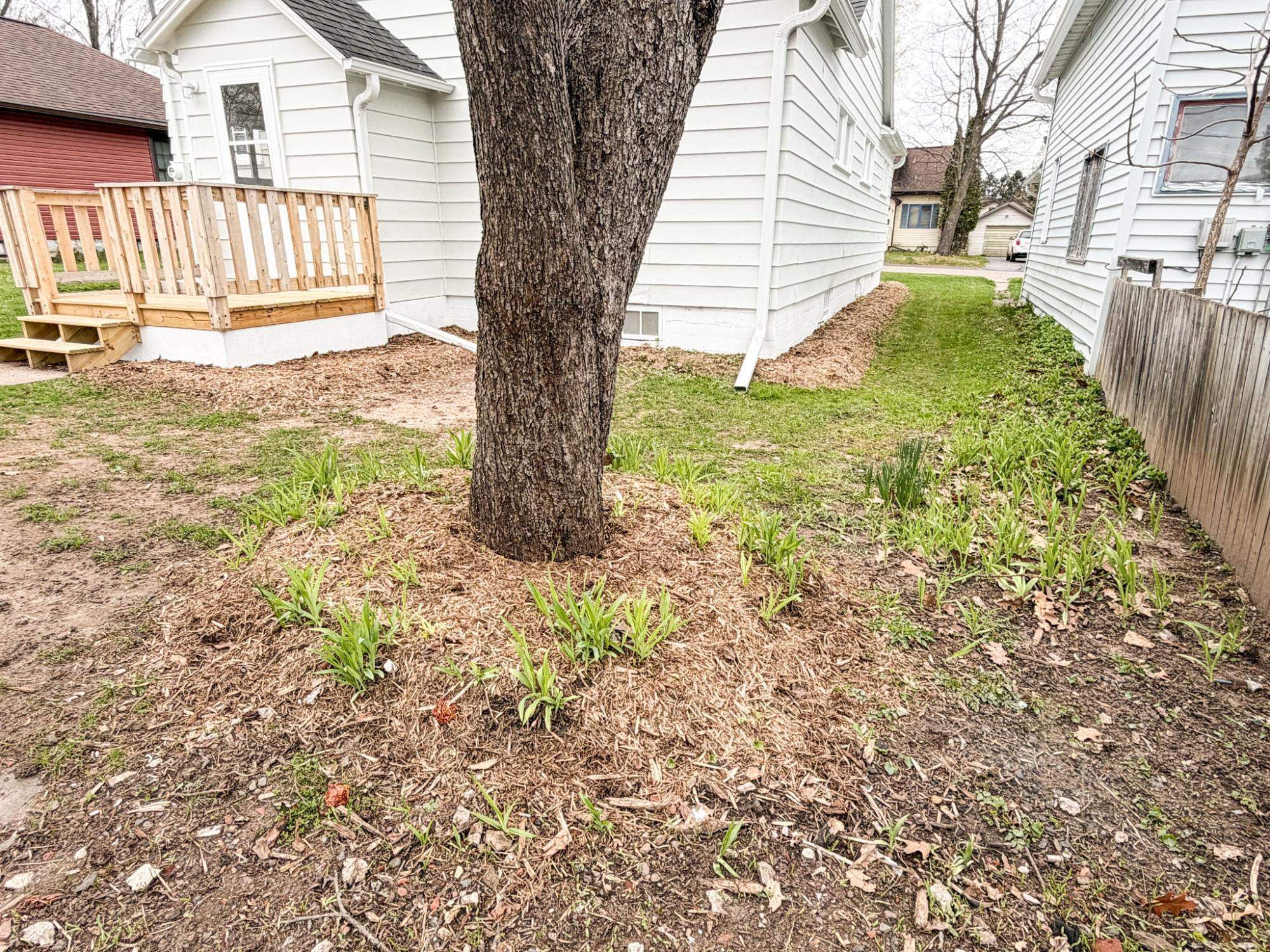 649 7TH AVENUE SOUTH, Park Falls, Wisconsin 54552, 3 Bedrooms Bedrooms, ,1 BathroomBathrooms,Residential,For Sale,649 7TH AVENUE SOUTH,22602150