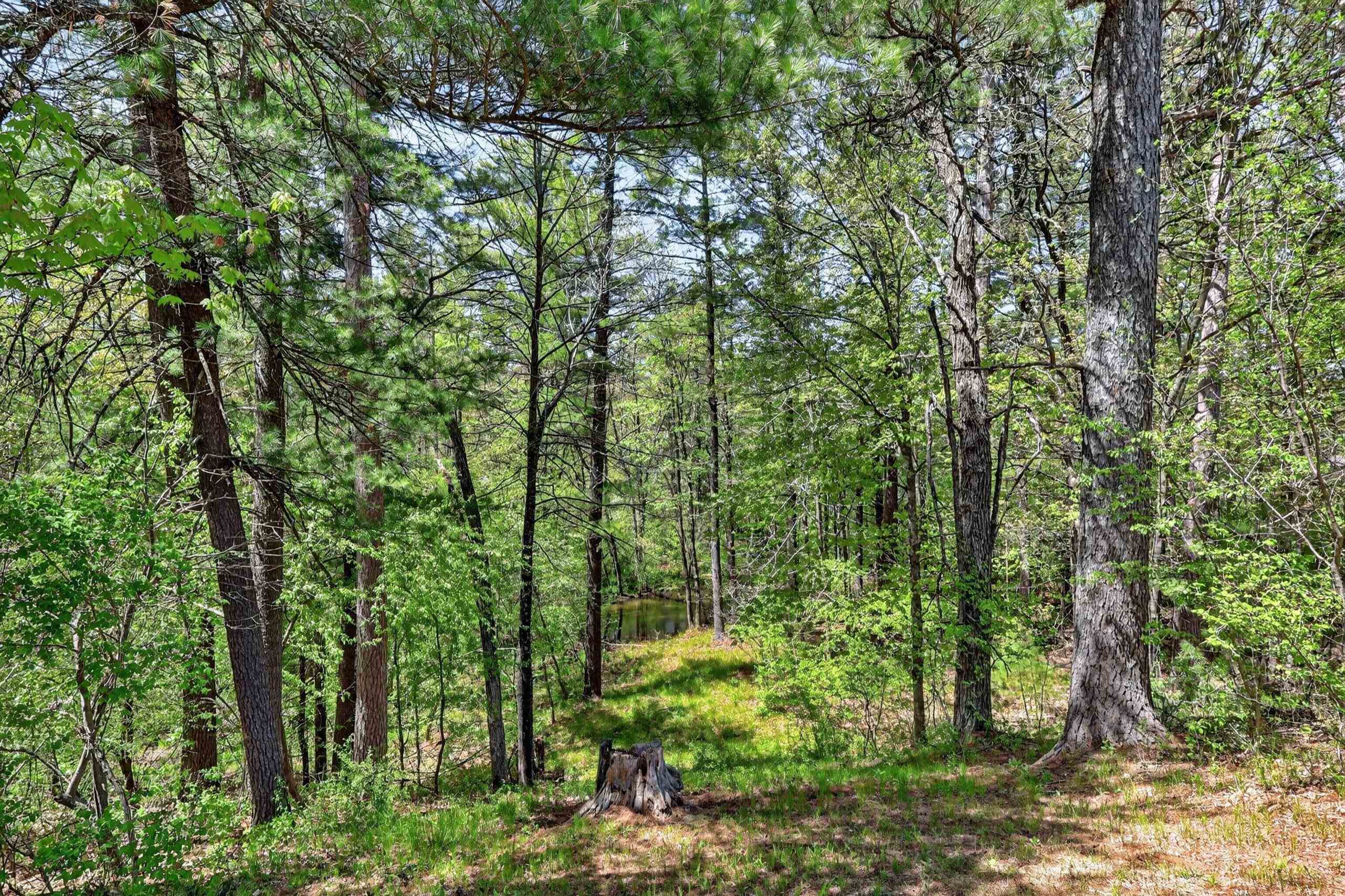7530 S STATE HIGHWAY 13, Wisconsin Rapids, Wisconsin 54494, 2 Bedrooms Bedrooms, ,1 BathroomBathrooms,Residential,For Sale,7530 S STATE HIGHWAY 13,22602166