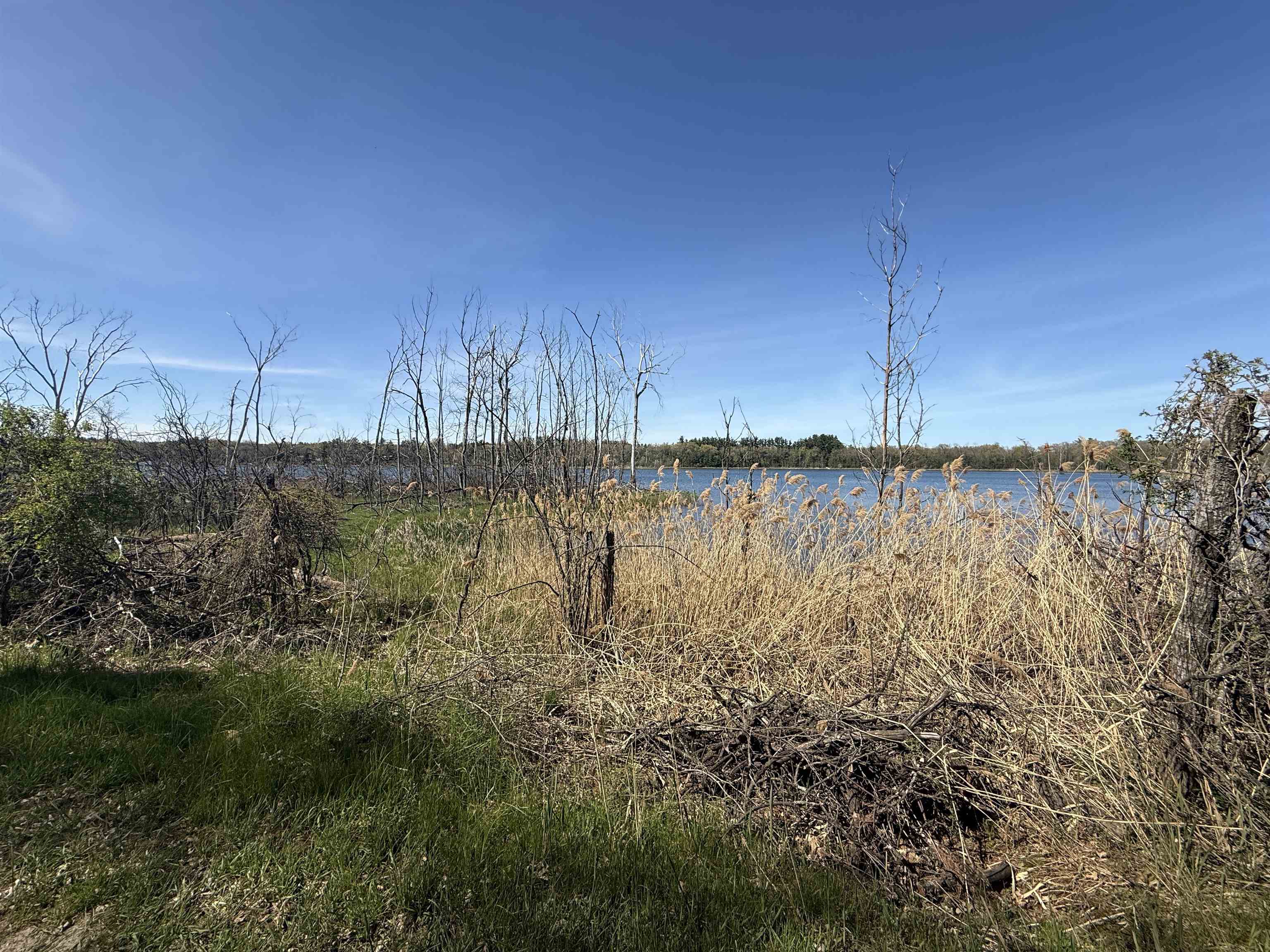 Lot 7 BEECHNUT DRIVE, Hancock, Wisconsin 54943, ,Land,For Sale,Lot 7 BEECHNUT DRIVE,22602175