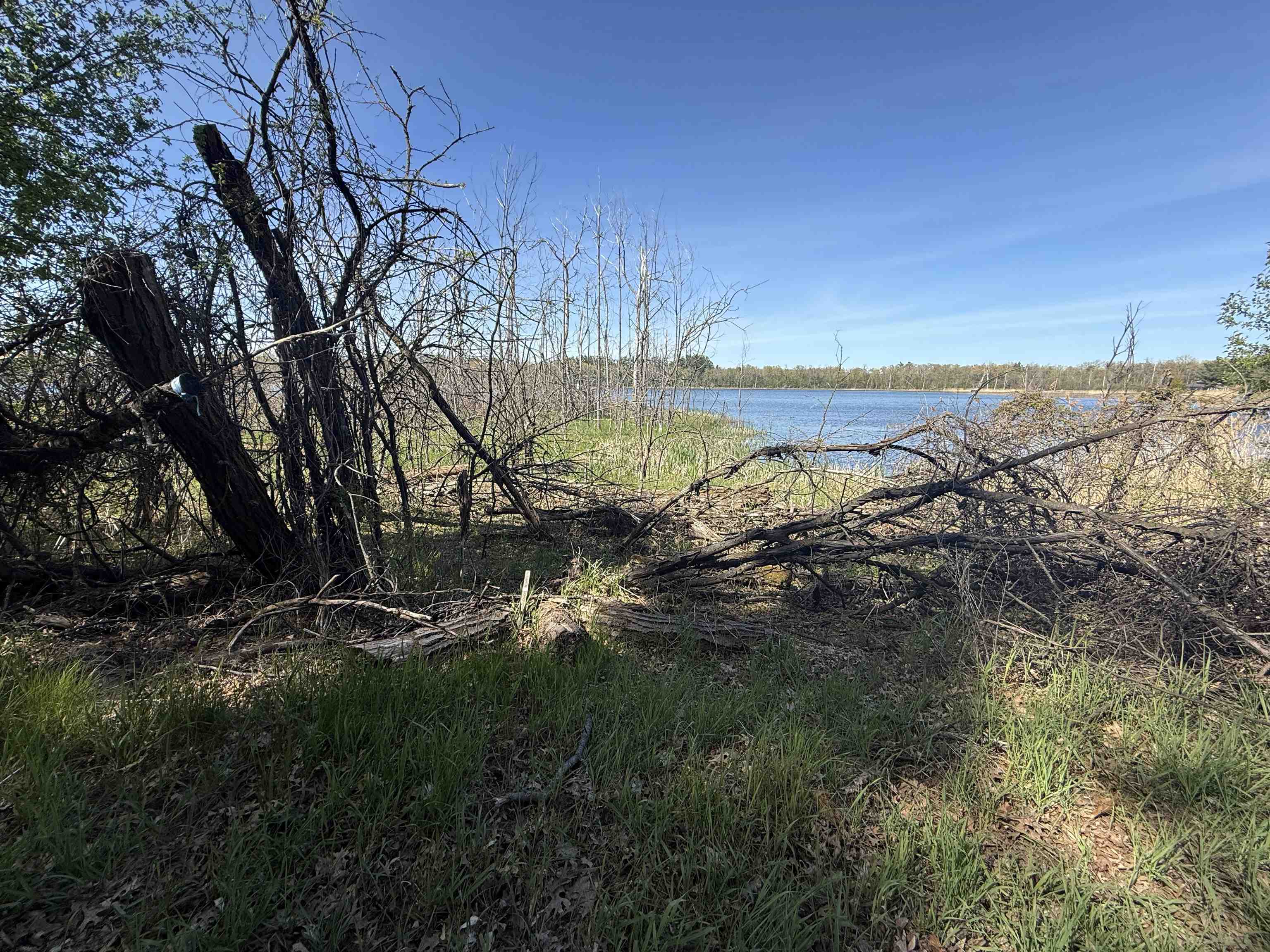 Lot 7 BEECHNUT DRIVE, Hancock, Wisconsin 54943, ,Land,For Sale,Lot 7 BEECHNUT DRIVE,22602175