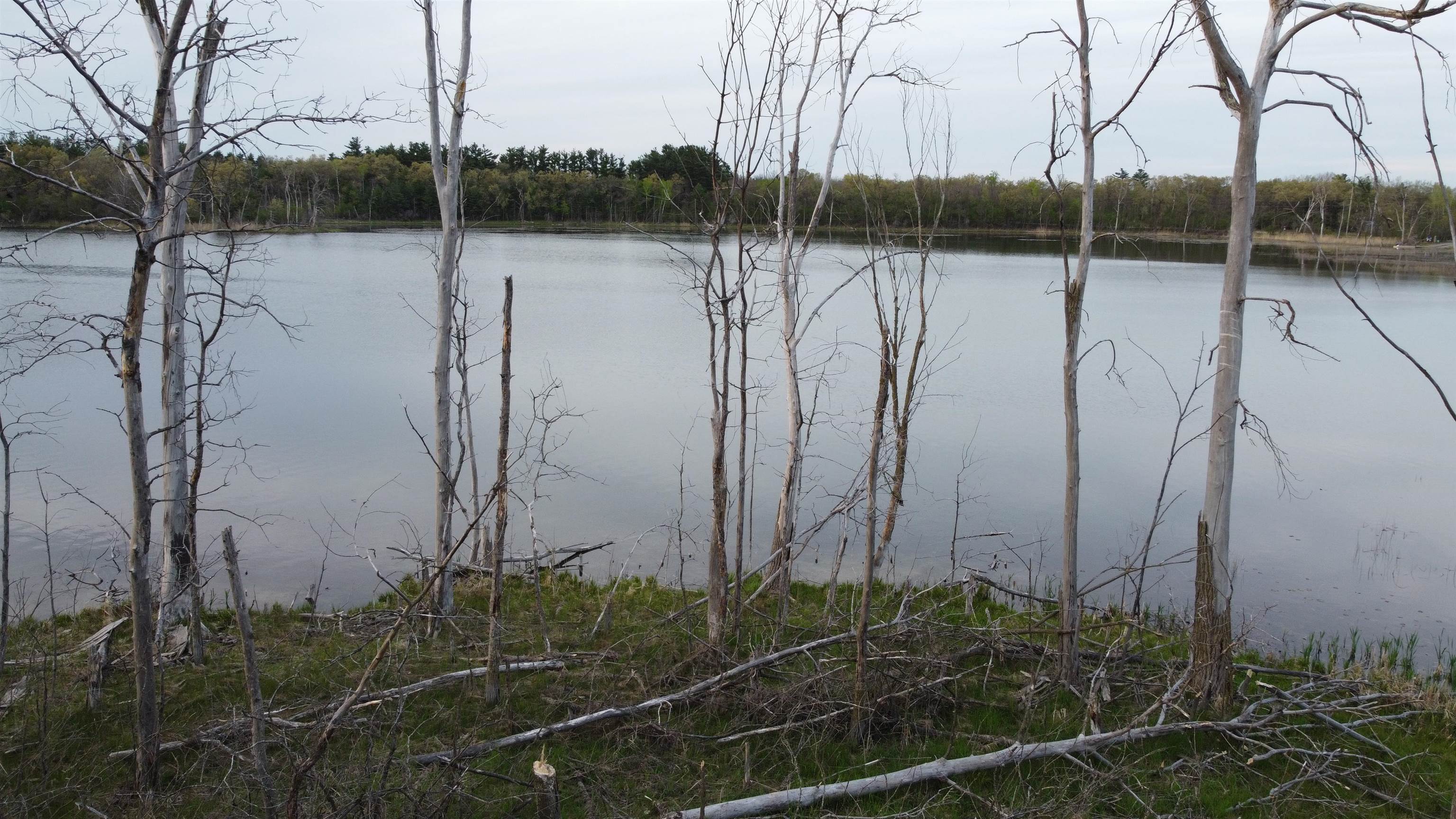 Lot 7 BEECHNUT DRIVE, Hancock, Wisconsin 54943, ,Land,For Sale,Lot 7 BEECHNUT DRIVE,22602175