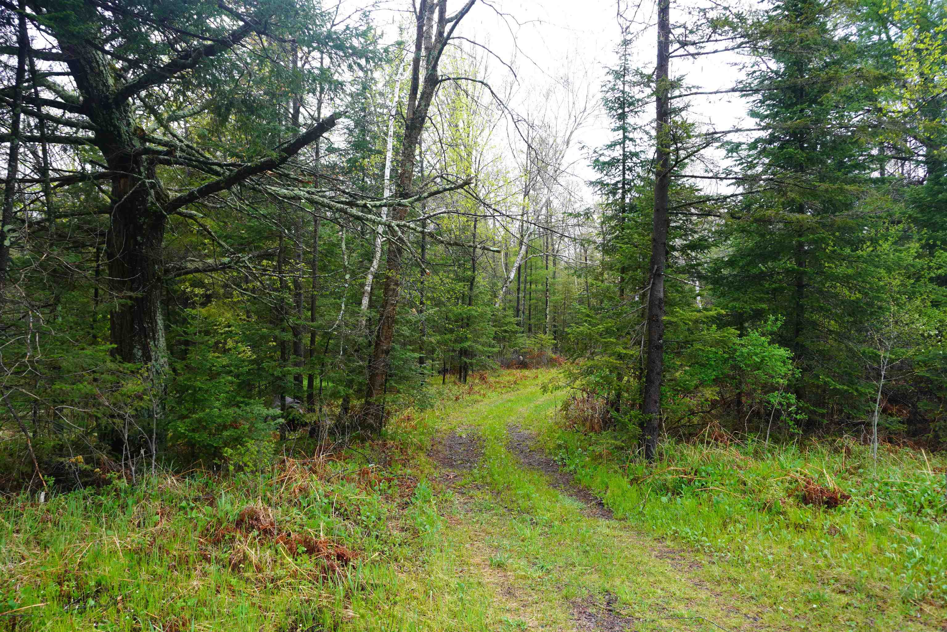 20 Acres S COUNTY ROAD X, Gleason, Wisconsin 54435, ,Land,For Sale,20 Acres S COUNTY ROAD X,22602179