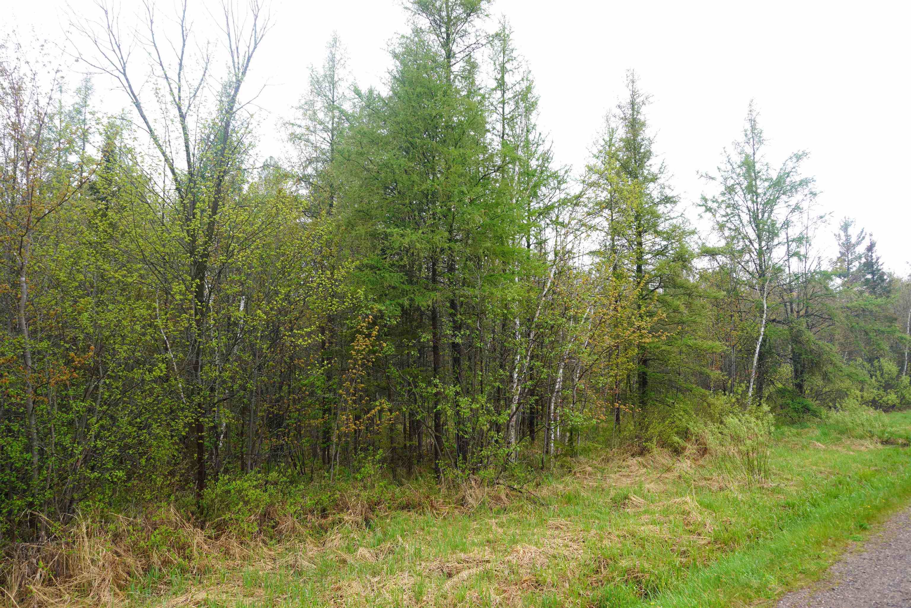 20 Acres S COUNTY ROAD X, Gleason, Wisconsin 54435, ,Land,For Sale,20 Acres S COUNTY ROAD X,22602179