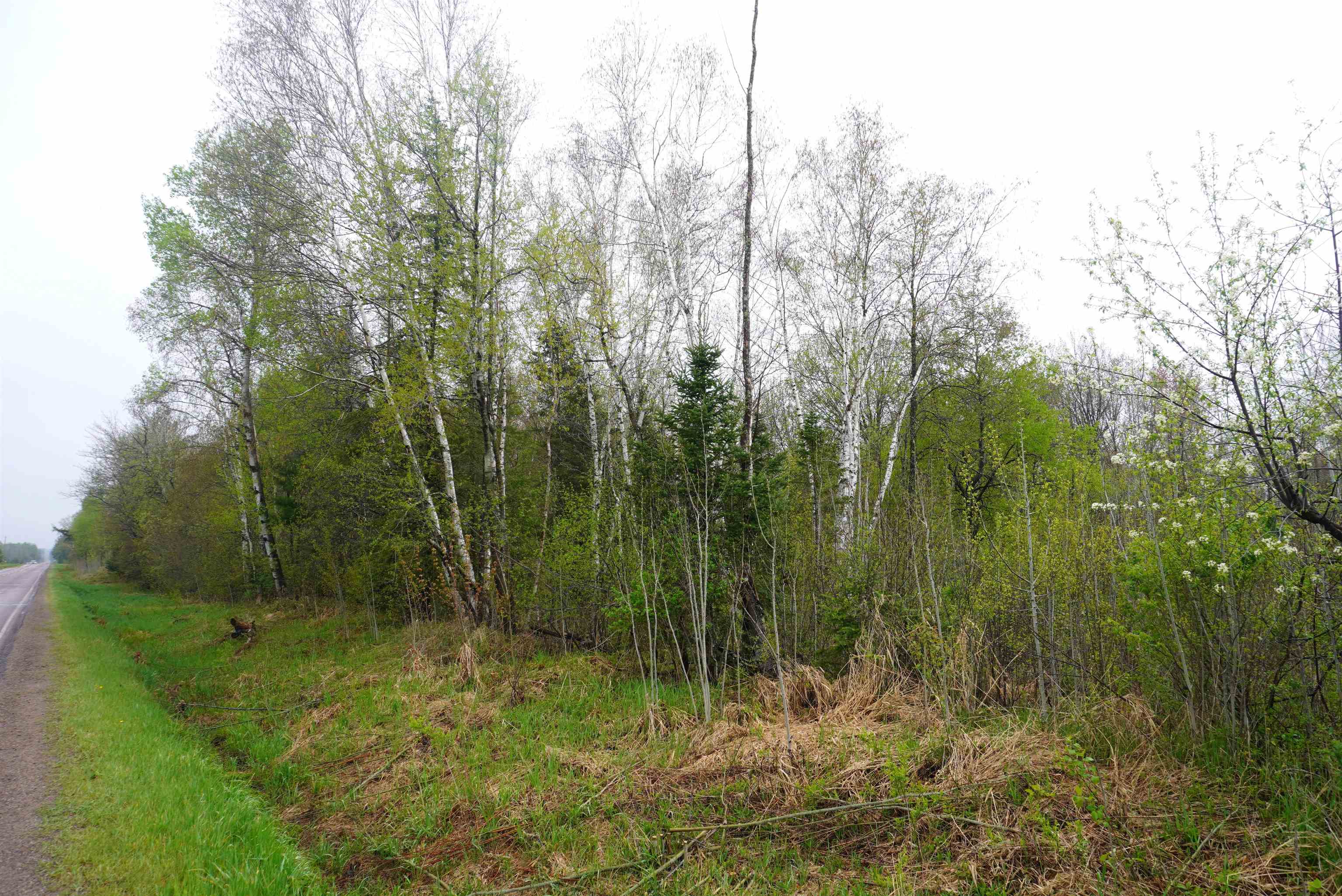 20 Acres N COUNTY ROAD X, Gleason, Wisconsin 54435, ,Land,For Sale,20 Acres N COUNTY ROAD X,22602181