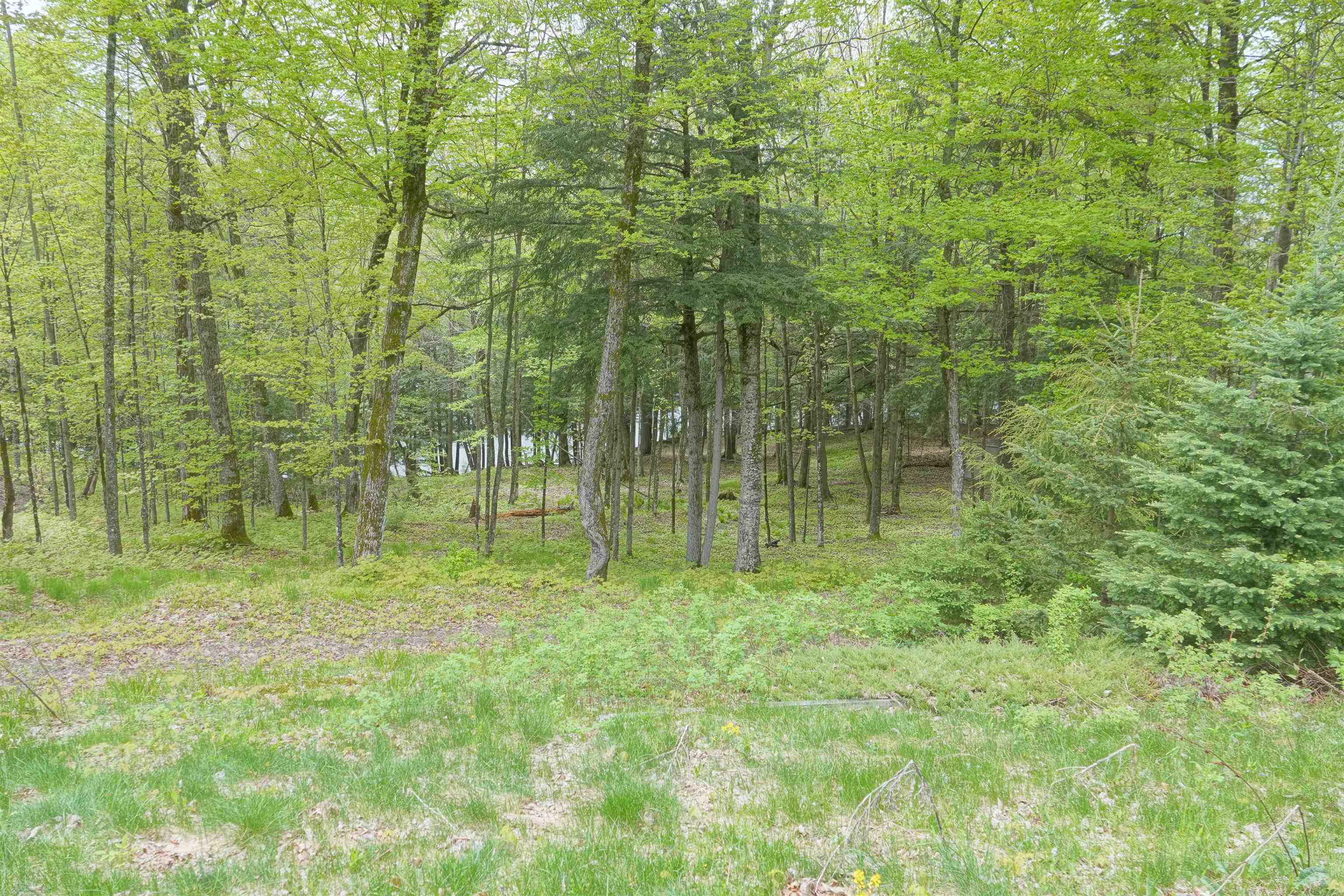 N221 LAMER DRIVE, Ogema, Wisconsin 54459, 3 Bedrooms Bedrooms, ,3 BathroomsBathrooms,Residential,For Sale,N221 LAMER DRIVE,22602199