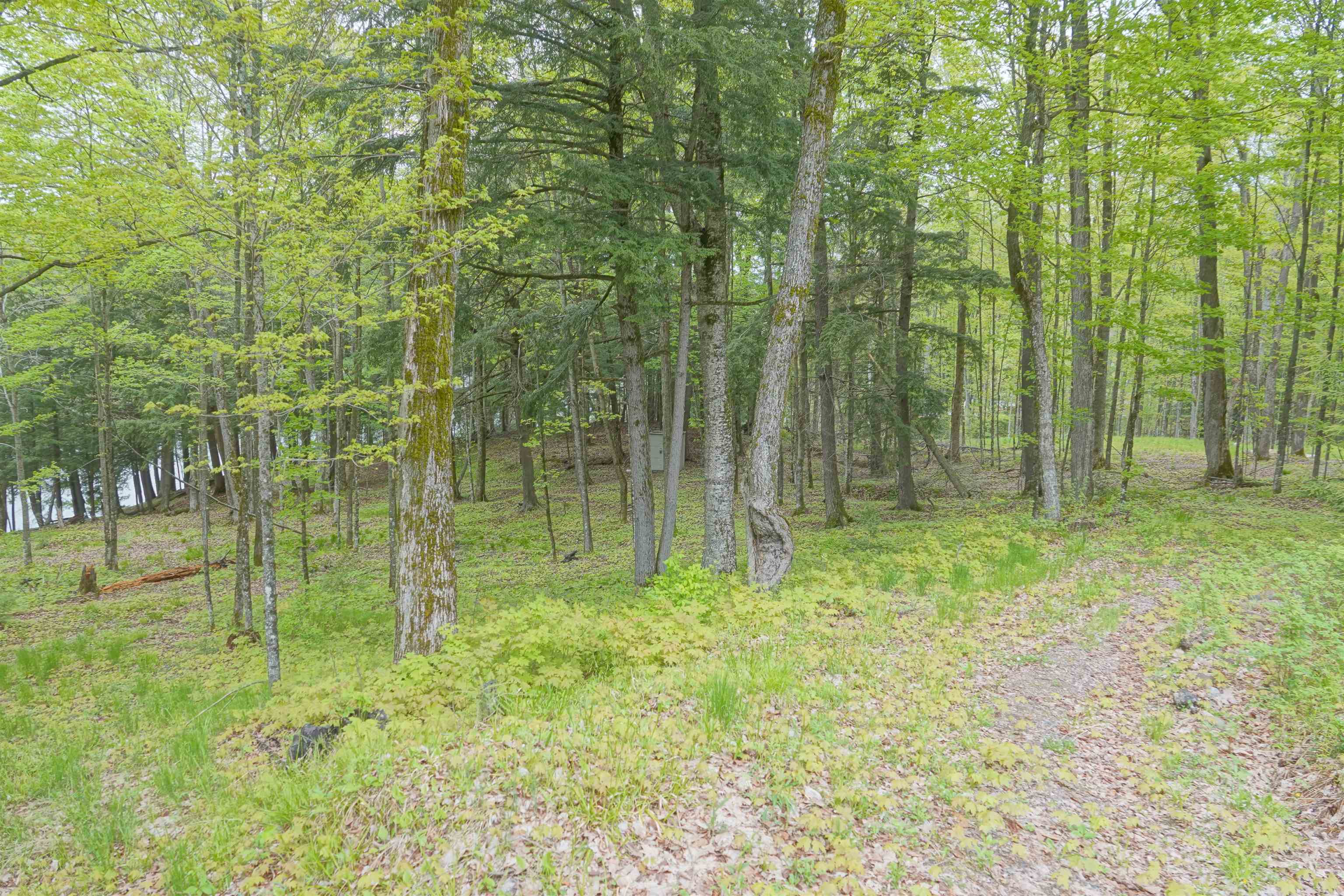 N221 LAMER DRIVE, Ogema, Wisconsin 54459, 3 Bedrooms Bedrooms, ,3 BathroomsBathrooms,Residential,For Sale,N221 LAMER DRIVE,22602199
