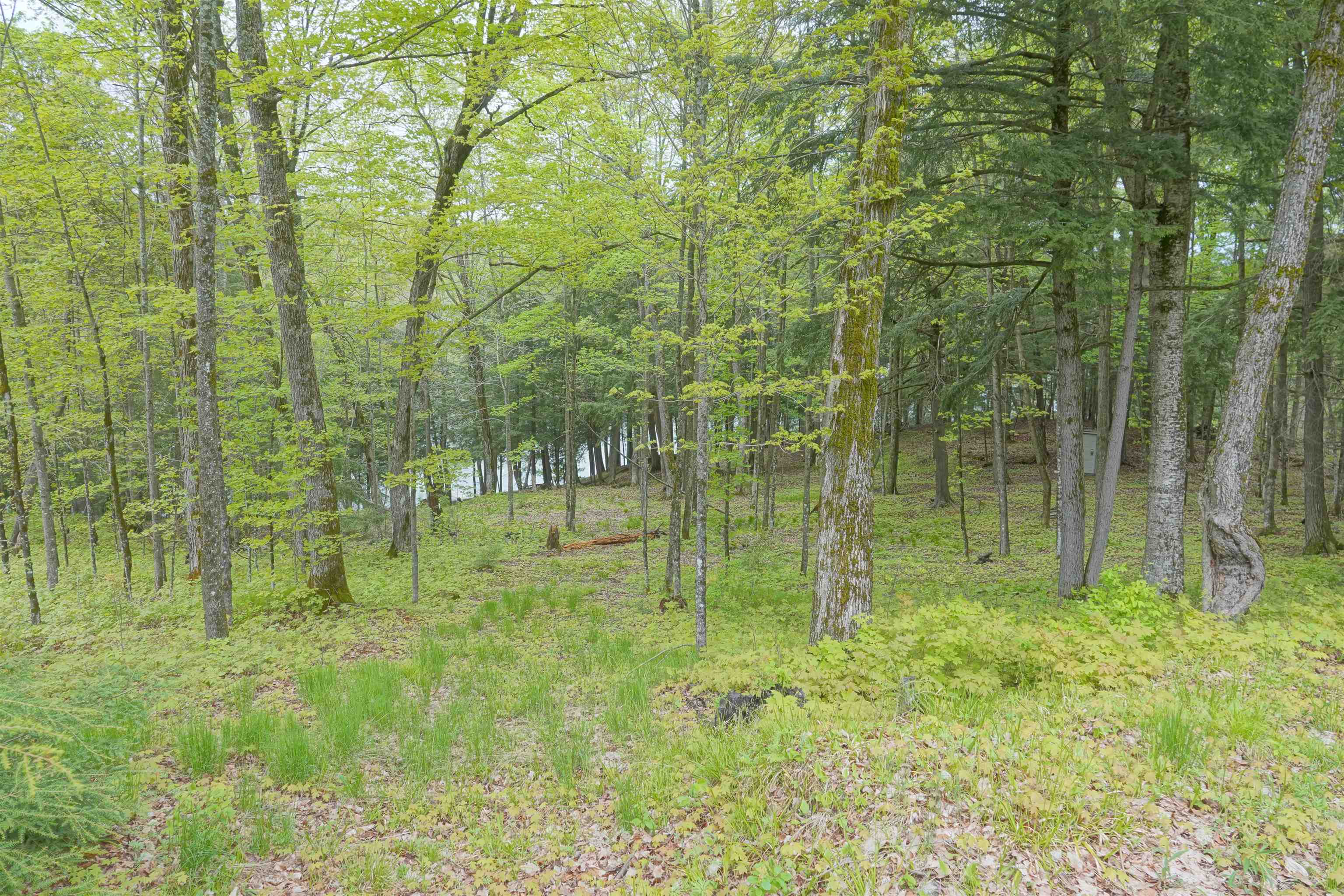 N221 LAMER DRIVE, Ogema, Wisconsin 54459, 3 Bedrooms Bedrooms, ,3 BathroomsBathrooms,Residential,For Sale,N221 LAMER DRIVE,22602199