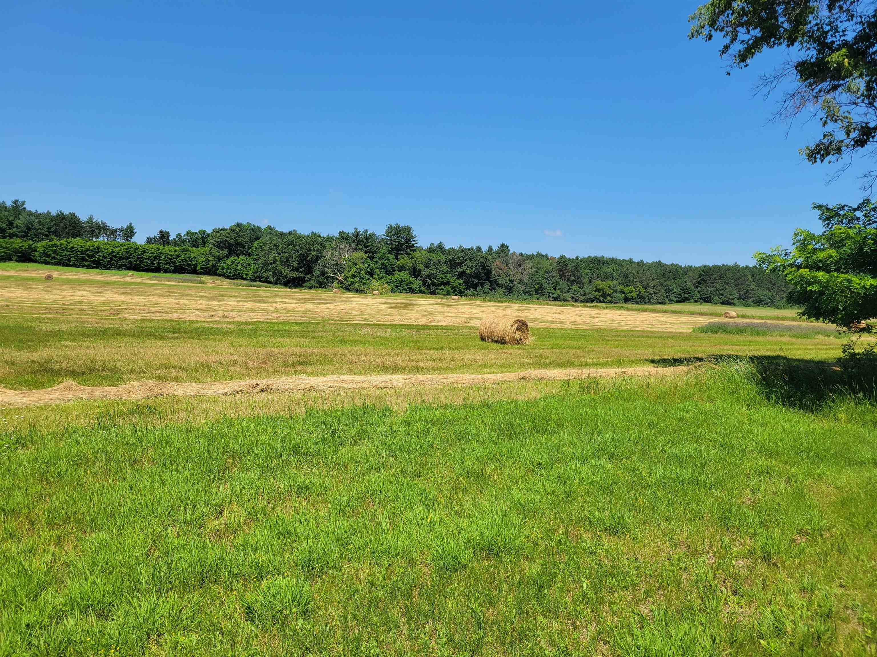 N1775 COUNTY ROAD K, Waupaca, Wisconsin 54981, ,Land,For Sale,N1775 COUNTY ROAD K,22602209