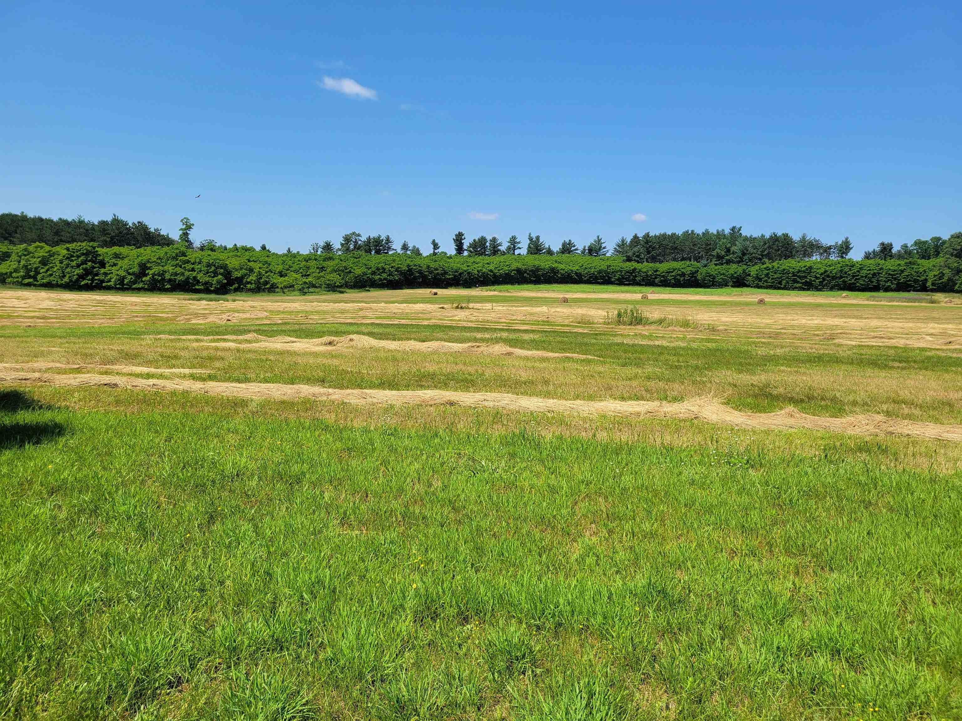 N1775 COUNTY ROAD K, Waupaca, Wisconsin 54981, ,Land,For Sale,N1775 COUNTY ROAD K,22602209