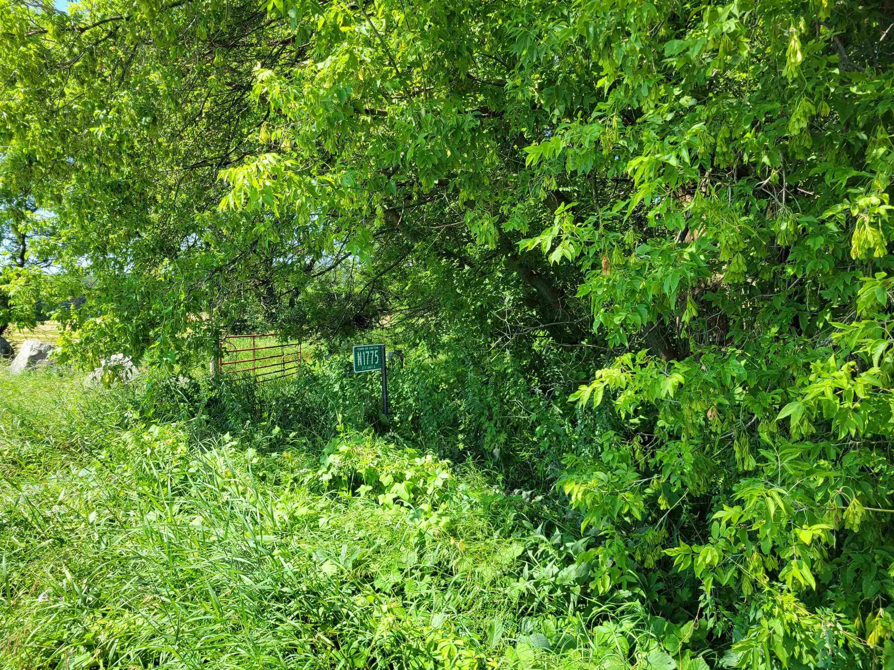 N1775 COUNTY ROAD K, Waupaca, Wisconsin 54981, ,Land,For Sale,N1775 COUNTY ROAD K,22602209