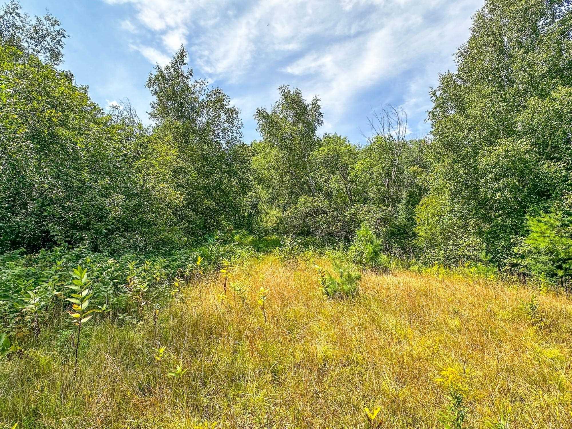 3 acres on DARLAKS BAY ROAD, Phillips, Wisconsin 54555, ,Land,For Sale,3 acres on DARLAKS BAY ROAD,22602215