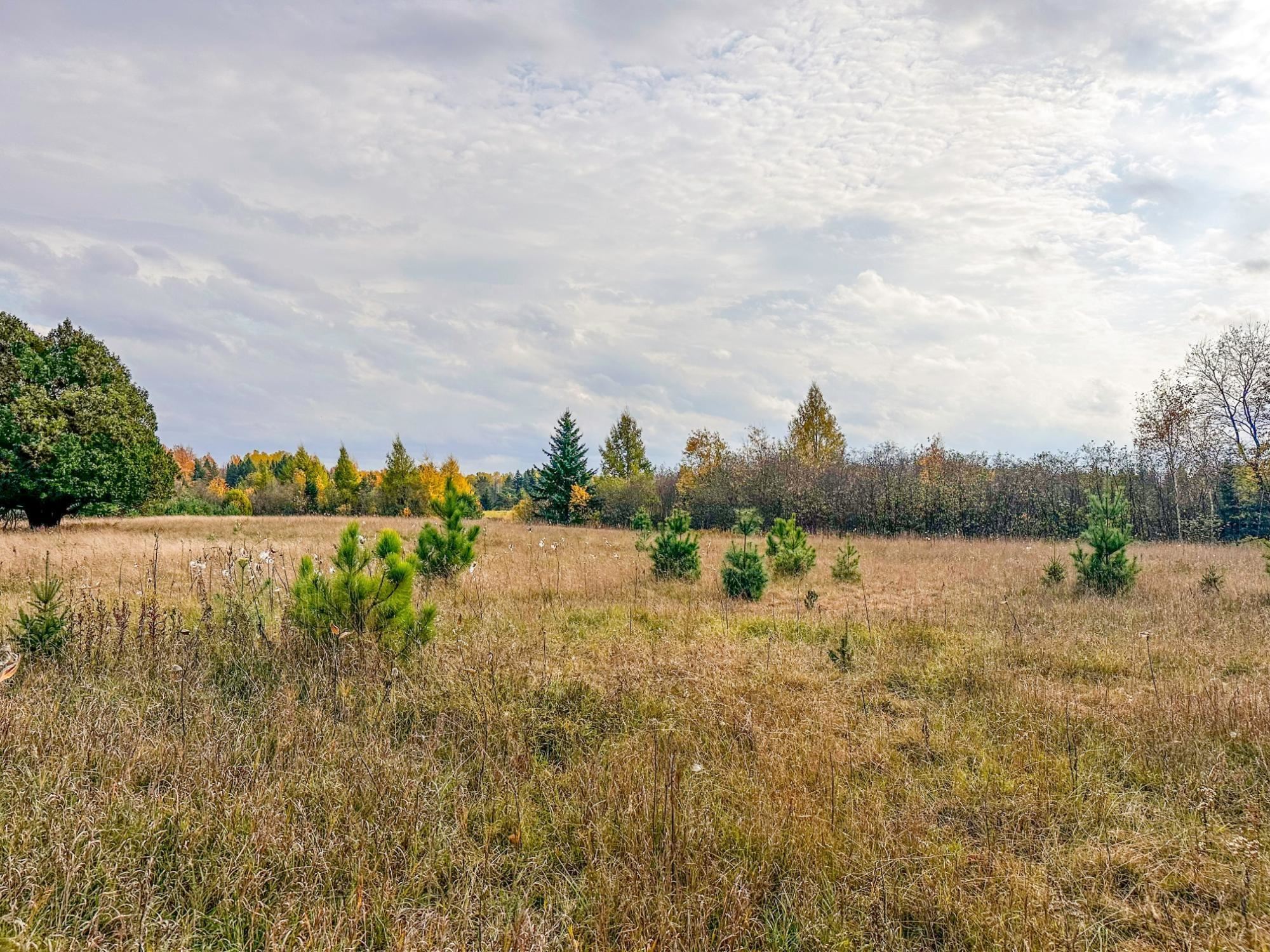 3 acres on DARLAKS BAY ROAD, Phillips, Wisconsin 54555, ,Land,For Sale,3 acres on DARLAKS BAY ROAD,22602215