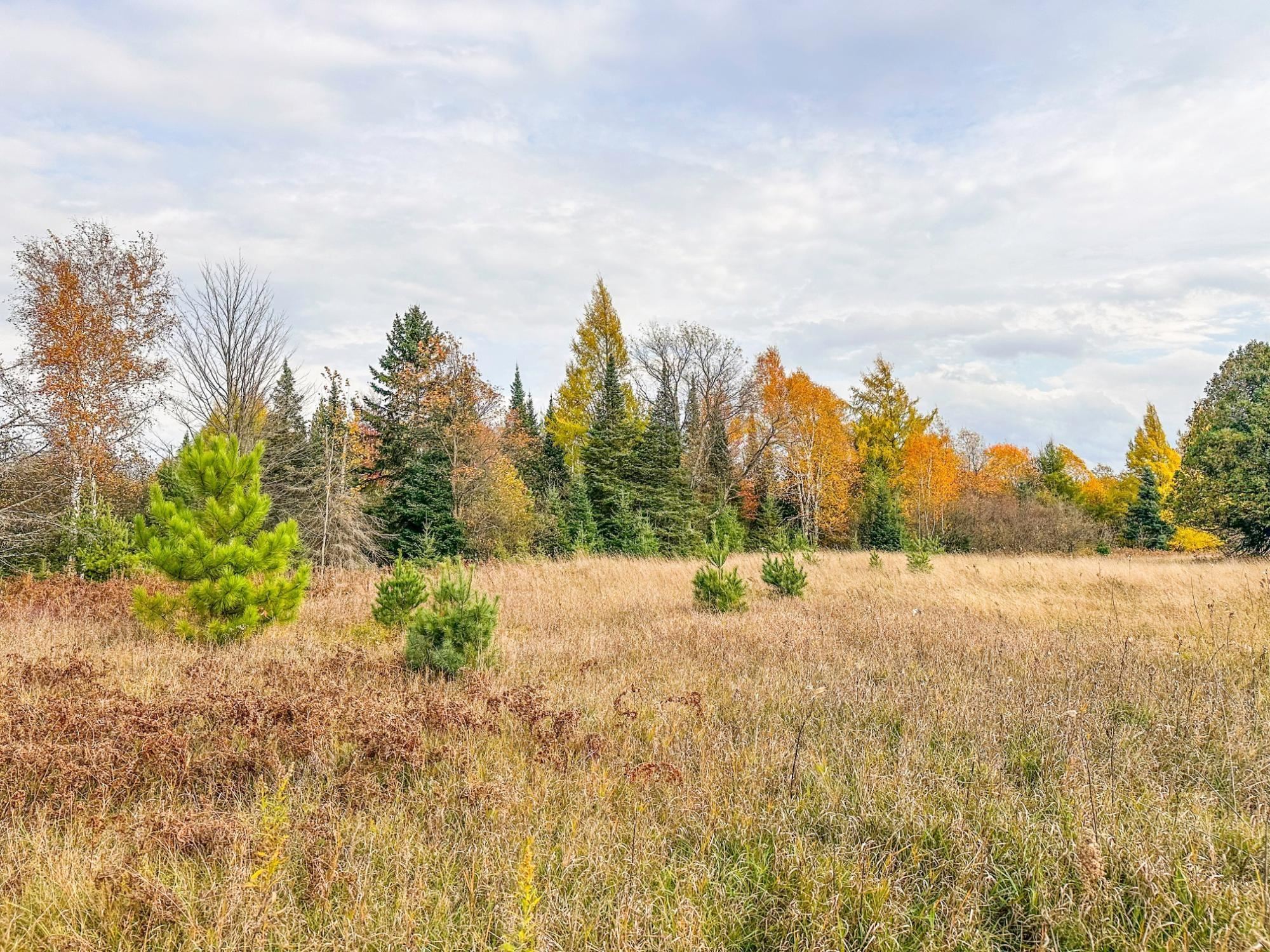 3 acres on DARLAKS BAY ROAD, Phillips, Wisconsin 54555, ,Land,For Sale,3 acres on DARLAKS BAY ROAD,22602215
