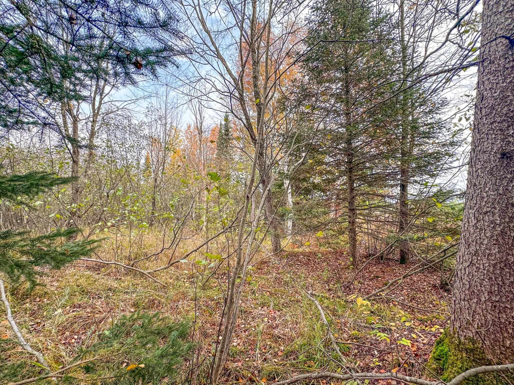 3 acres on DARLAKS BAY ROAD, Phillips, Wisconsin 54555, ,Land,For Sale,3 acres on DARLAKS BAY ROAD,22602215