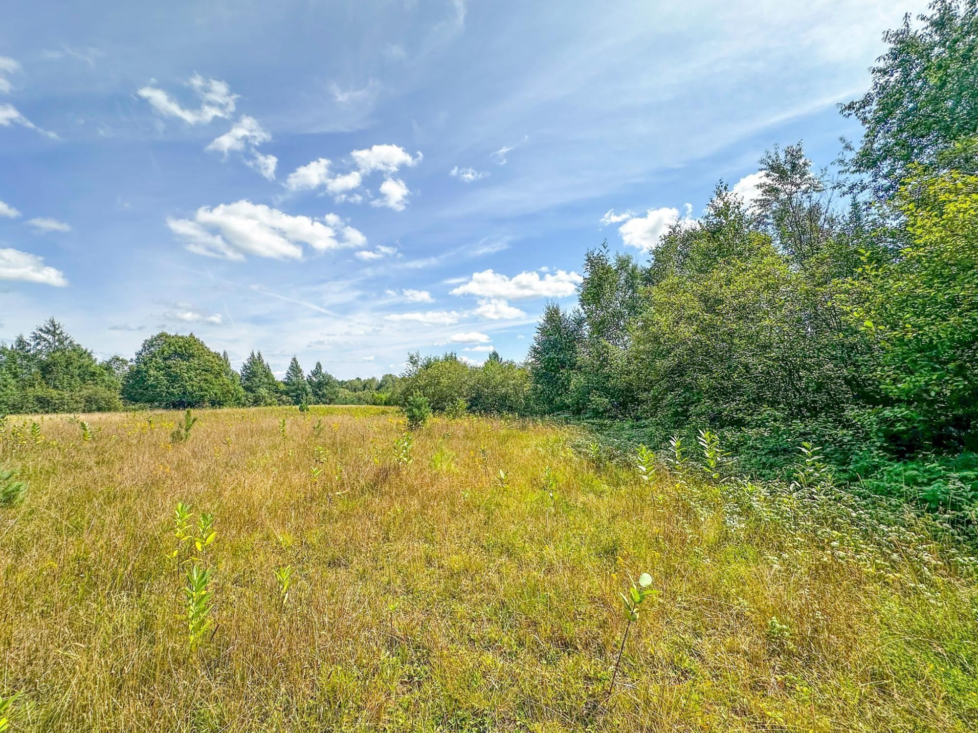 3 acres on DARLAKS BAY ROAD, Phillips, Wisconsin 54555, ,Land,For Sale,3 acres on DARLAKS BAY ROAD,22602215