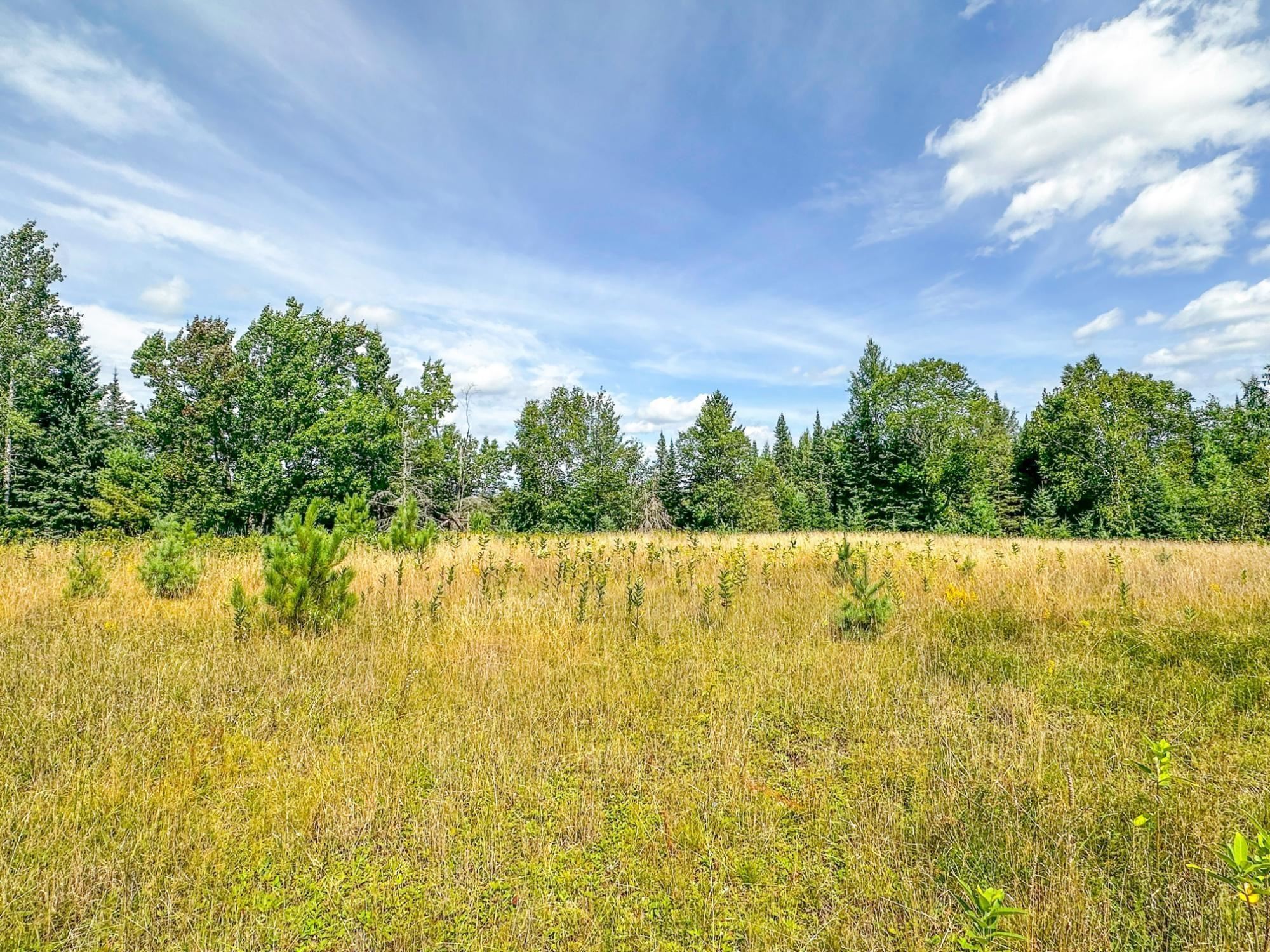 3 acres on DARLAKS BAY ROAD, Phillips, Wisconsin 54555, ,Land,For Sale,3 acres on DARLAKS BAY ROAD,22602215