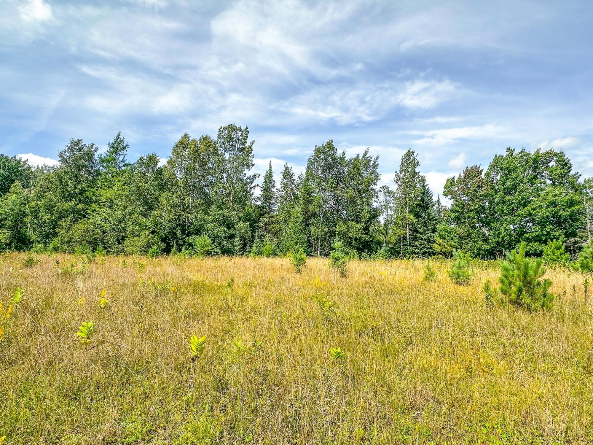 3 acres on DARLAKS BAY ROAD, Phillips, Wisconsin 54555, ,Land,For Sale,3 acres on DARLAKS BAY ROAD,22602215