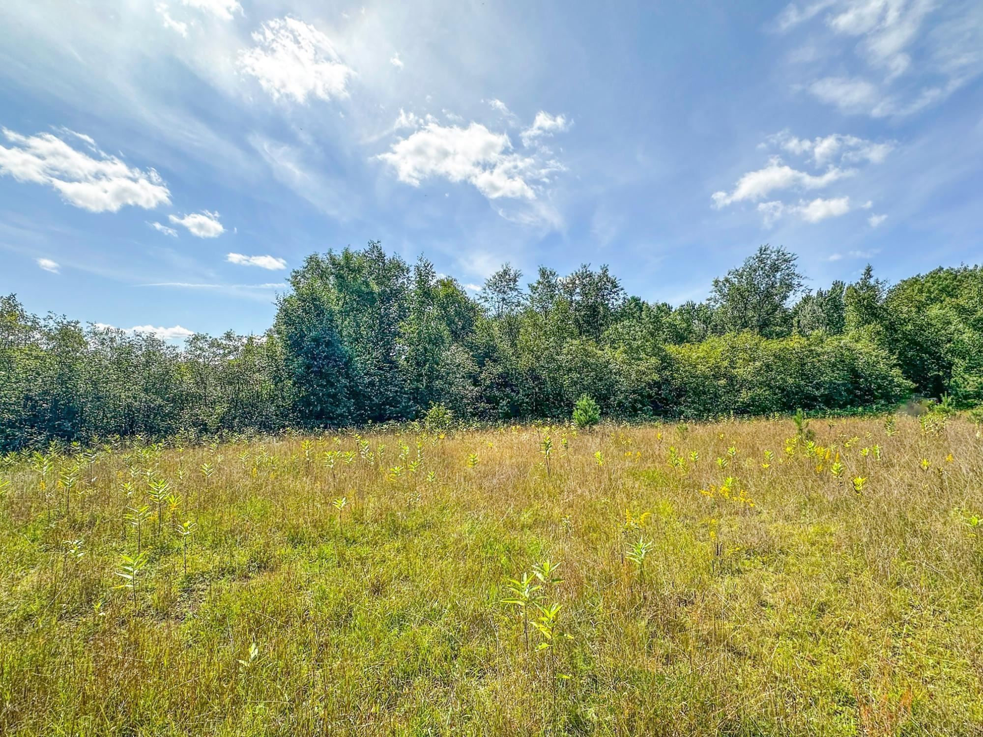 3 acres on DARLAKS BAY ROAD, Phillips, Wisconsin 54555, ,Land,For Sale,3 acres on DARLAKS BAY ROAD,22602215